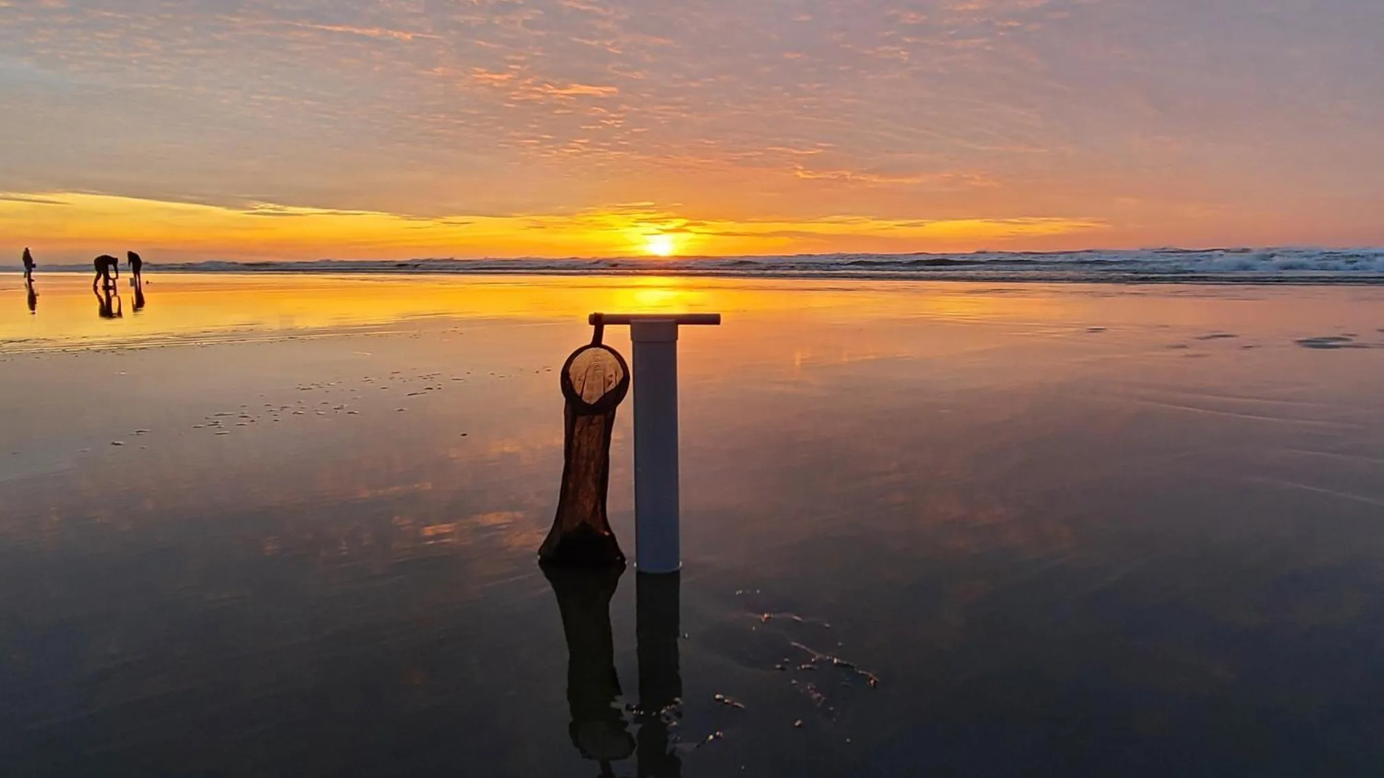 Natural landscape in Lighthouse Oceanfront Resort