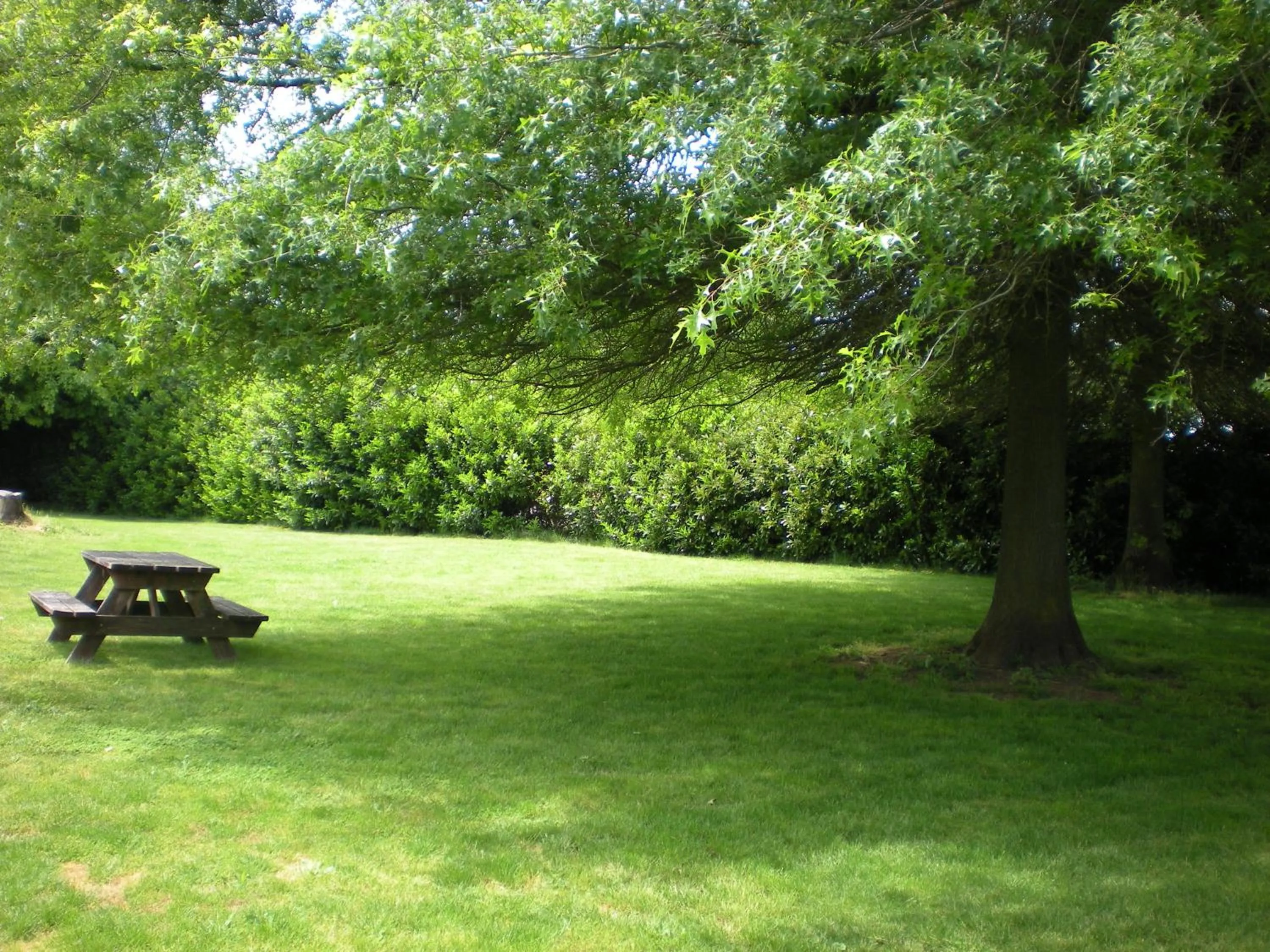 Area and facilities in Super 8 by Wyndham Albany