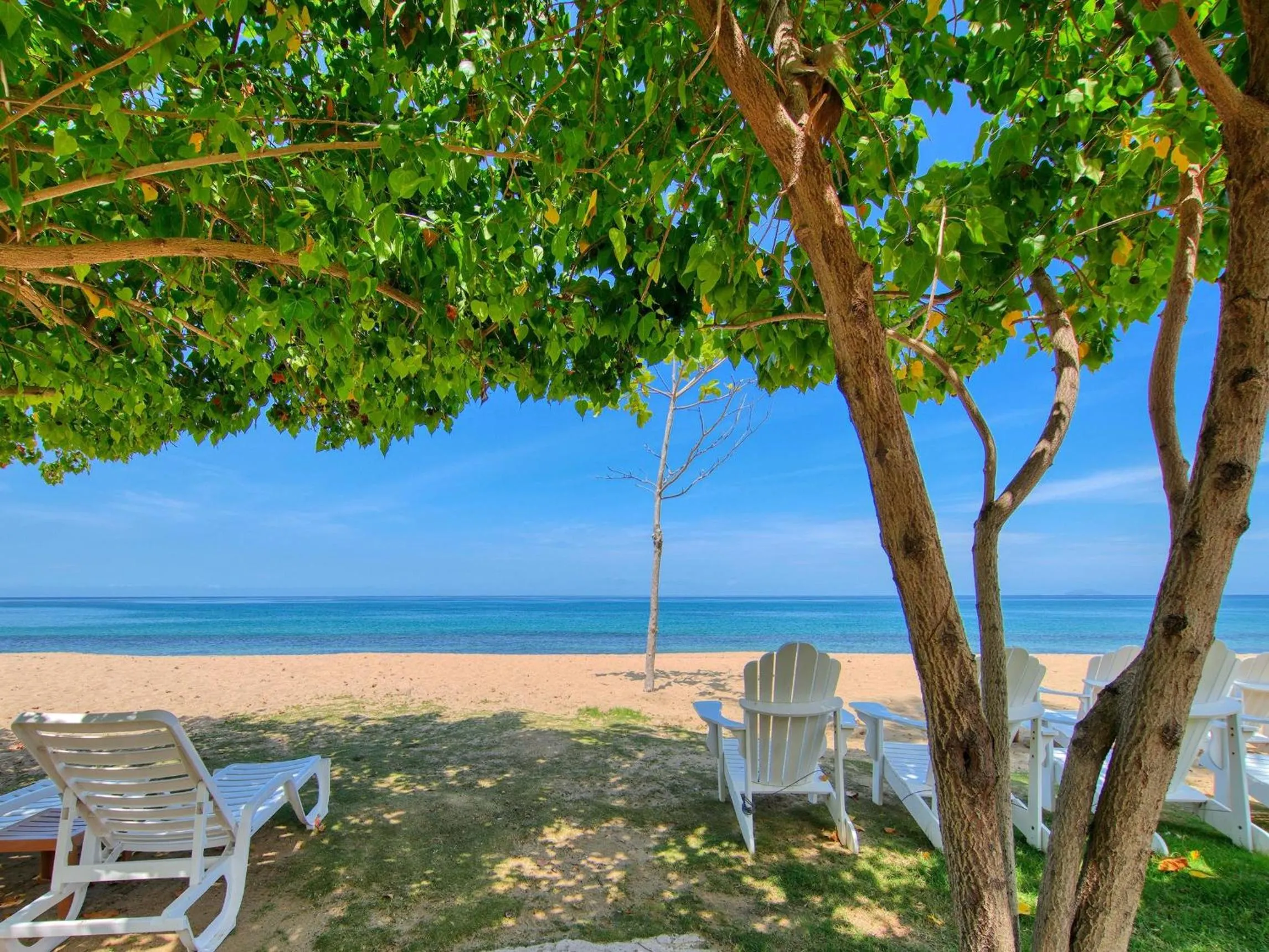 Spring in Rincon of the Seas Grand Caribbean Hotel