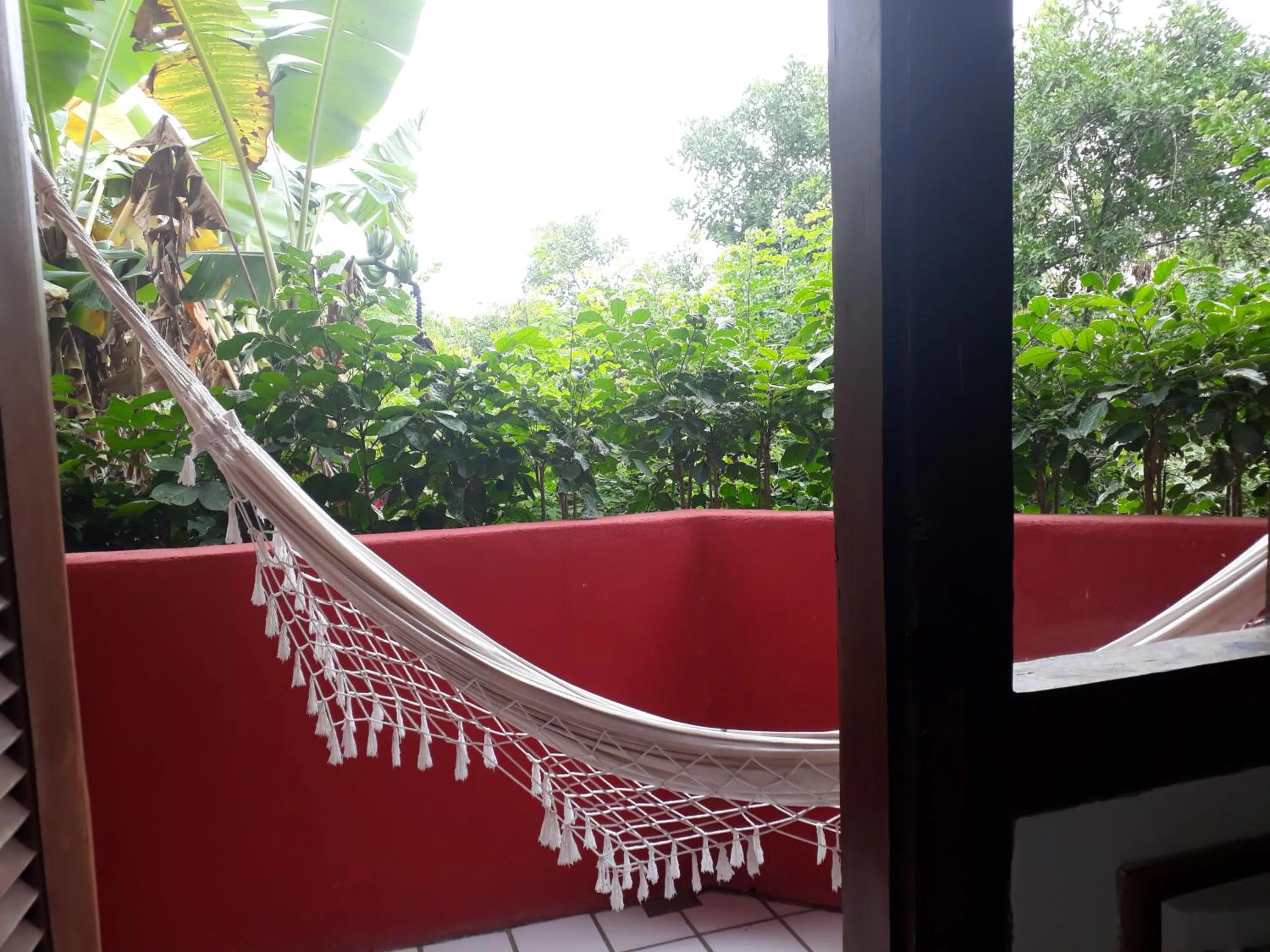 Garden view in Novos Baianos Hostel e Pousada