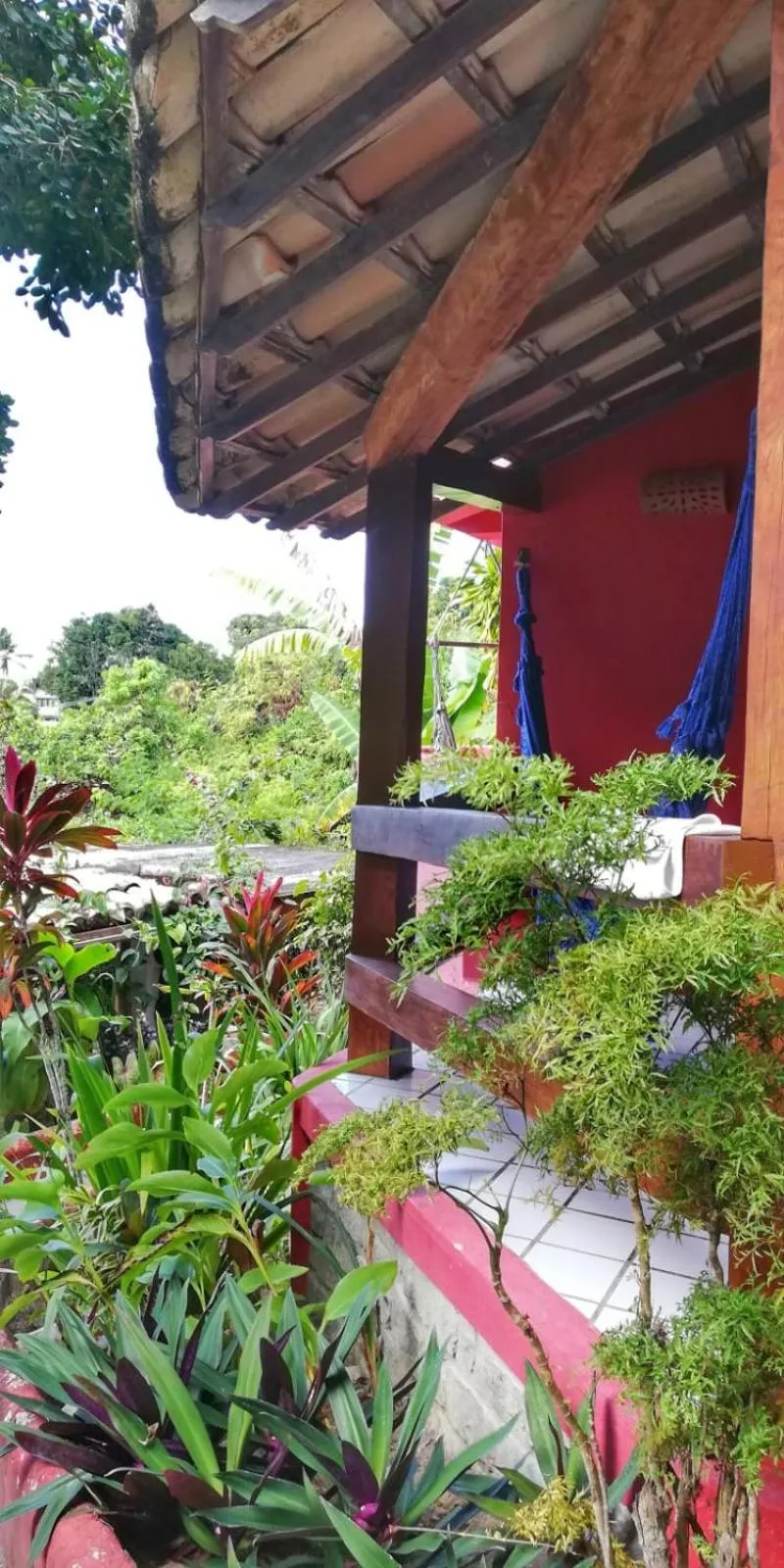 Garden view in Novos Baianos Hostel e Pousada