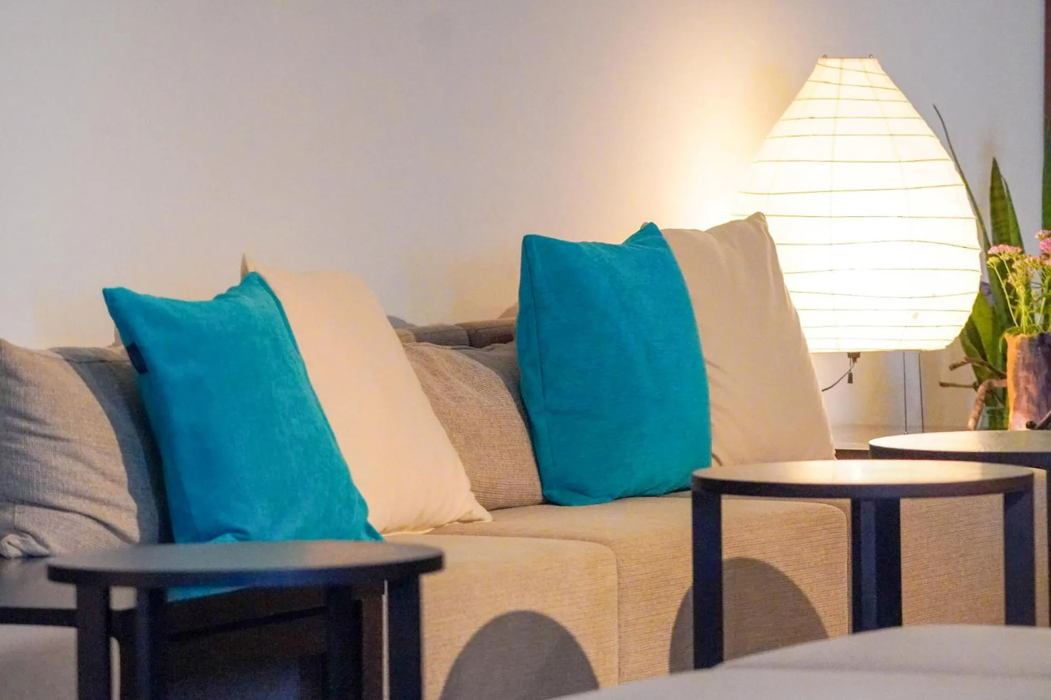 Area and facilities in Marine Blue Yakushima