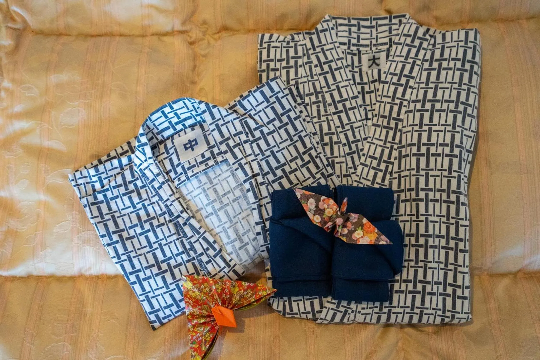 Photo of the whole room in Marine Blue Yakushima