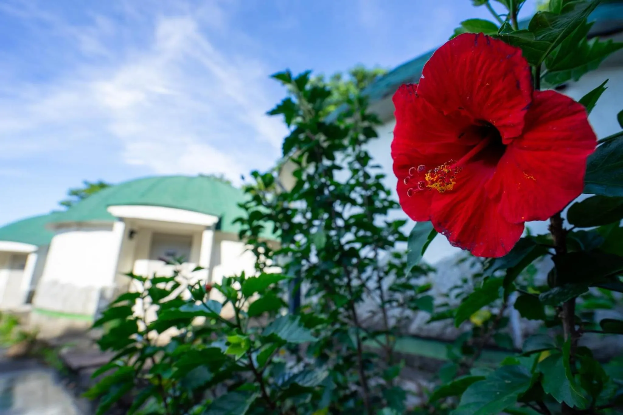 Photo of the whole room in Jomon no Yado Manten