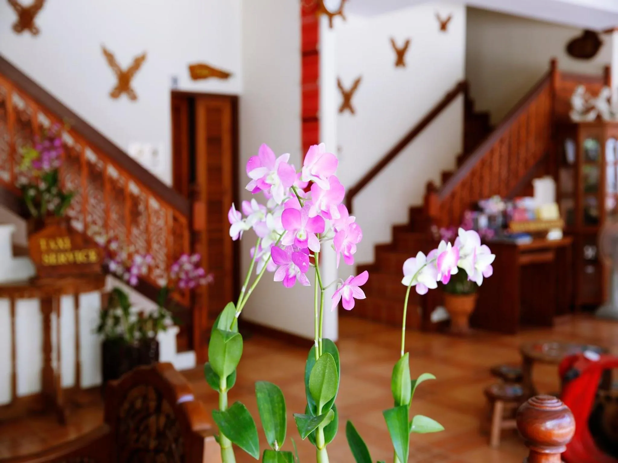 Lobby or reception in The Orchid House - SHA Extra Plus