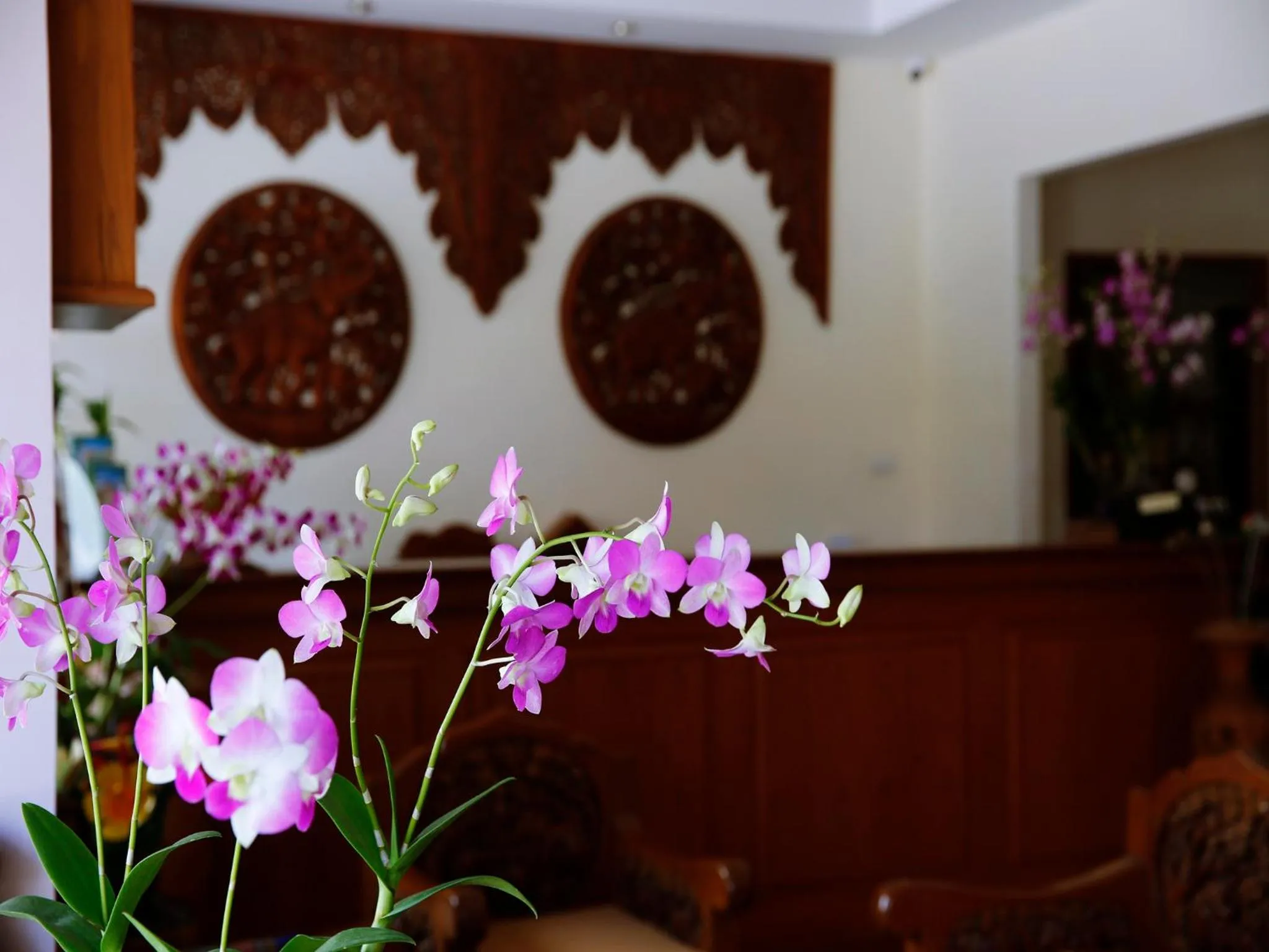 Lobby or reception in The Orchid House - SHA Extra Plus