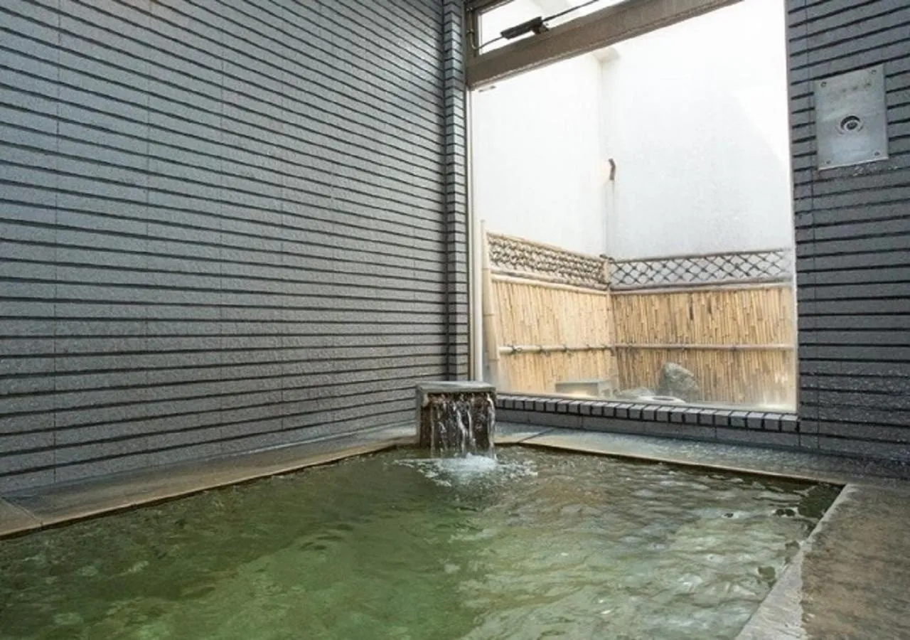 Hot Spring Bath in Hotel New Momiji