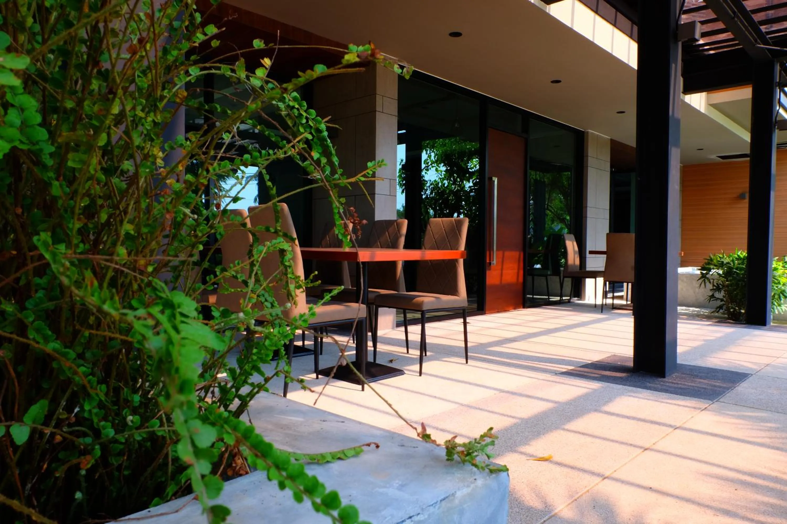 Day in The Glory Gold