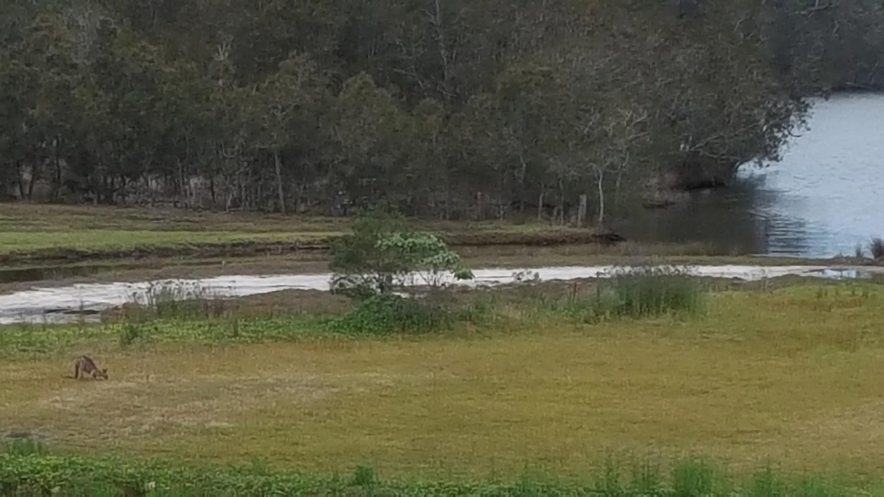 Tabourie Lake Motor Inn