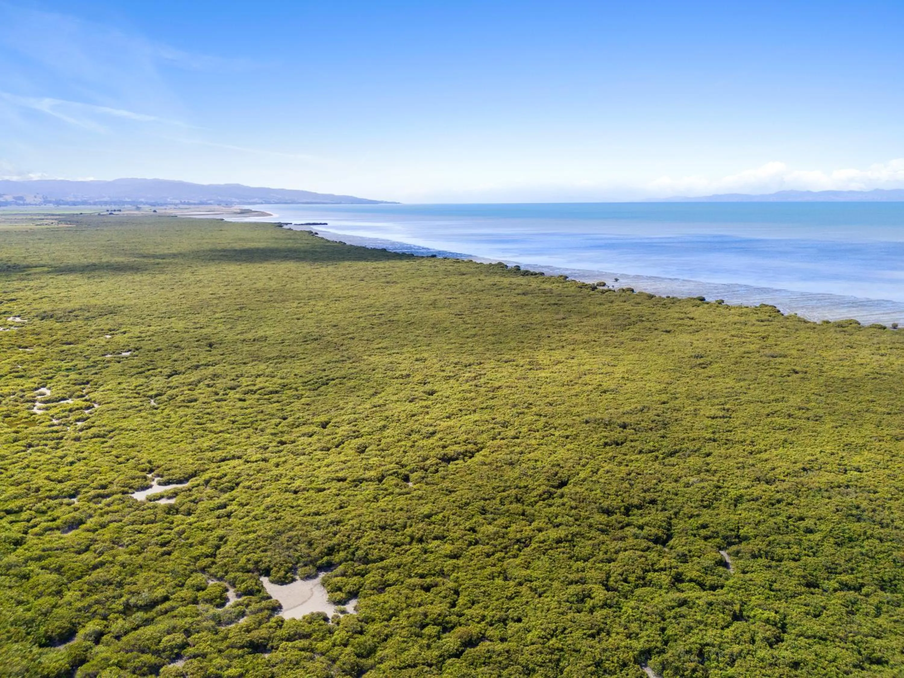 Tasman Holiday Parks - Miranda