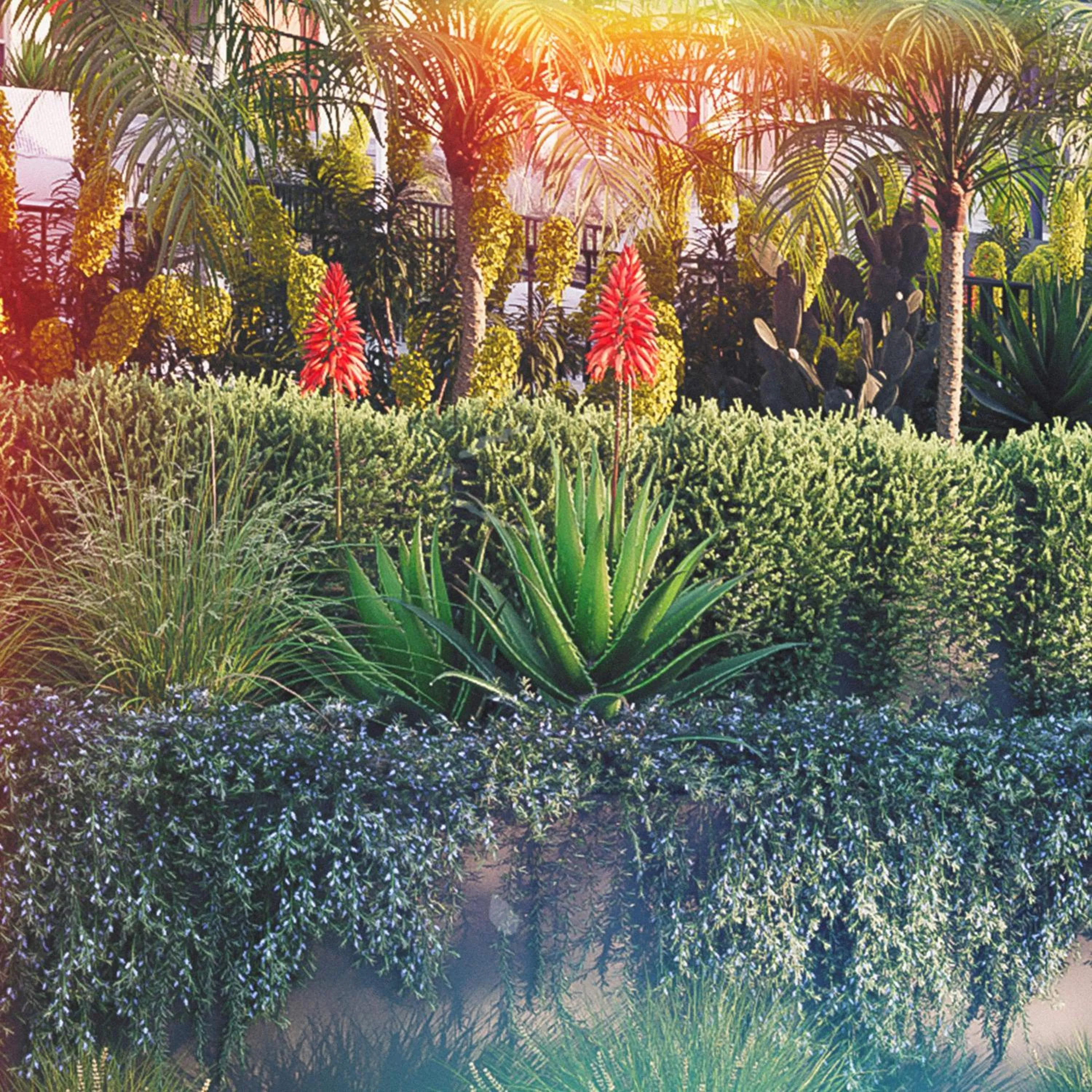 Garden view in Dolphins Motel