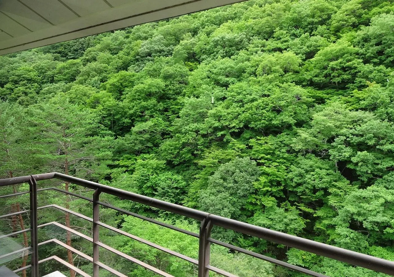 Mountain view in Hotel Yunishigawa