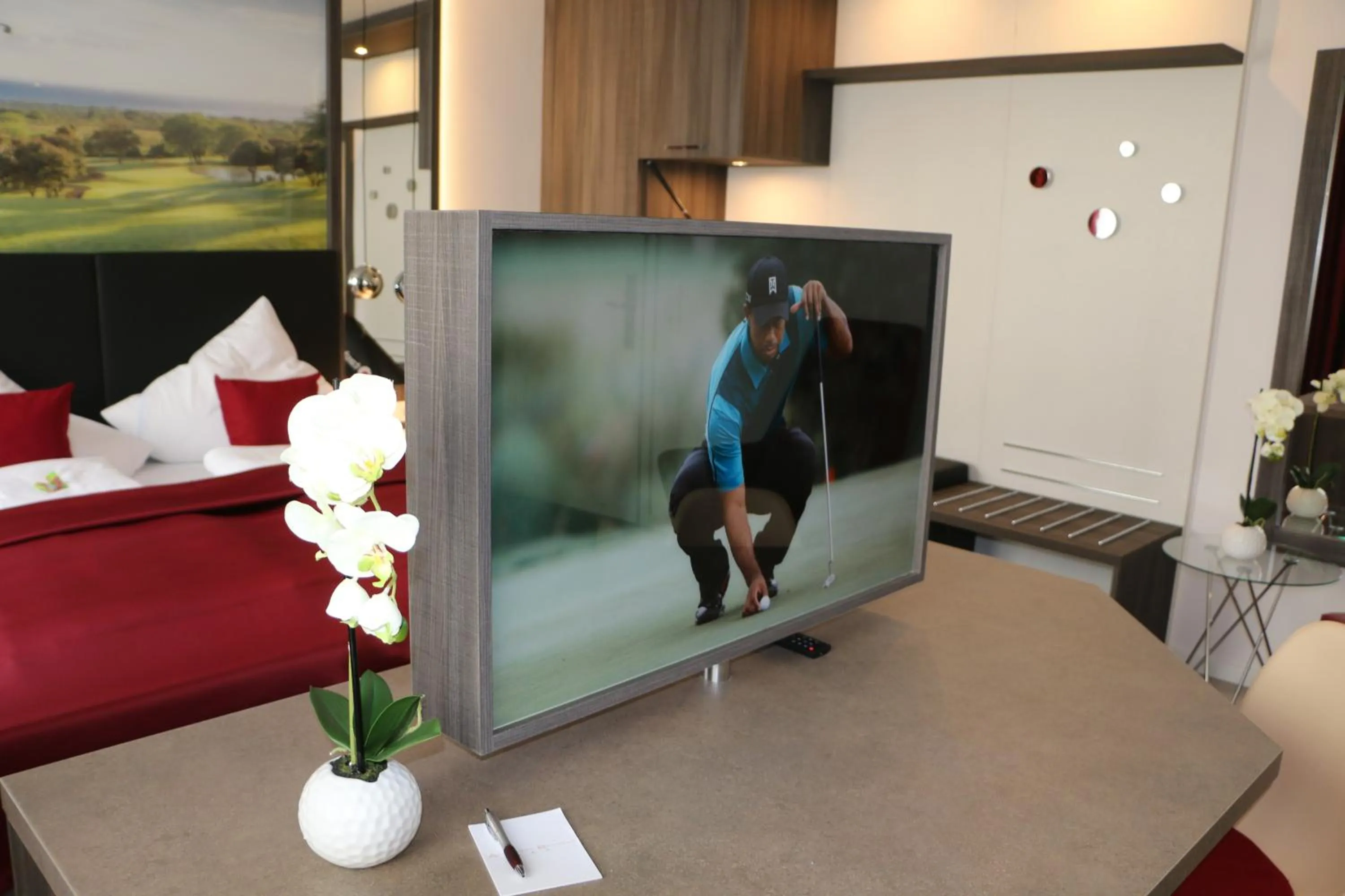 TV and multimedia in Star Apart Hotel Sachsenhausen
