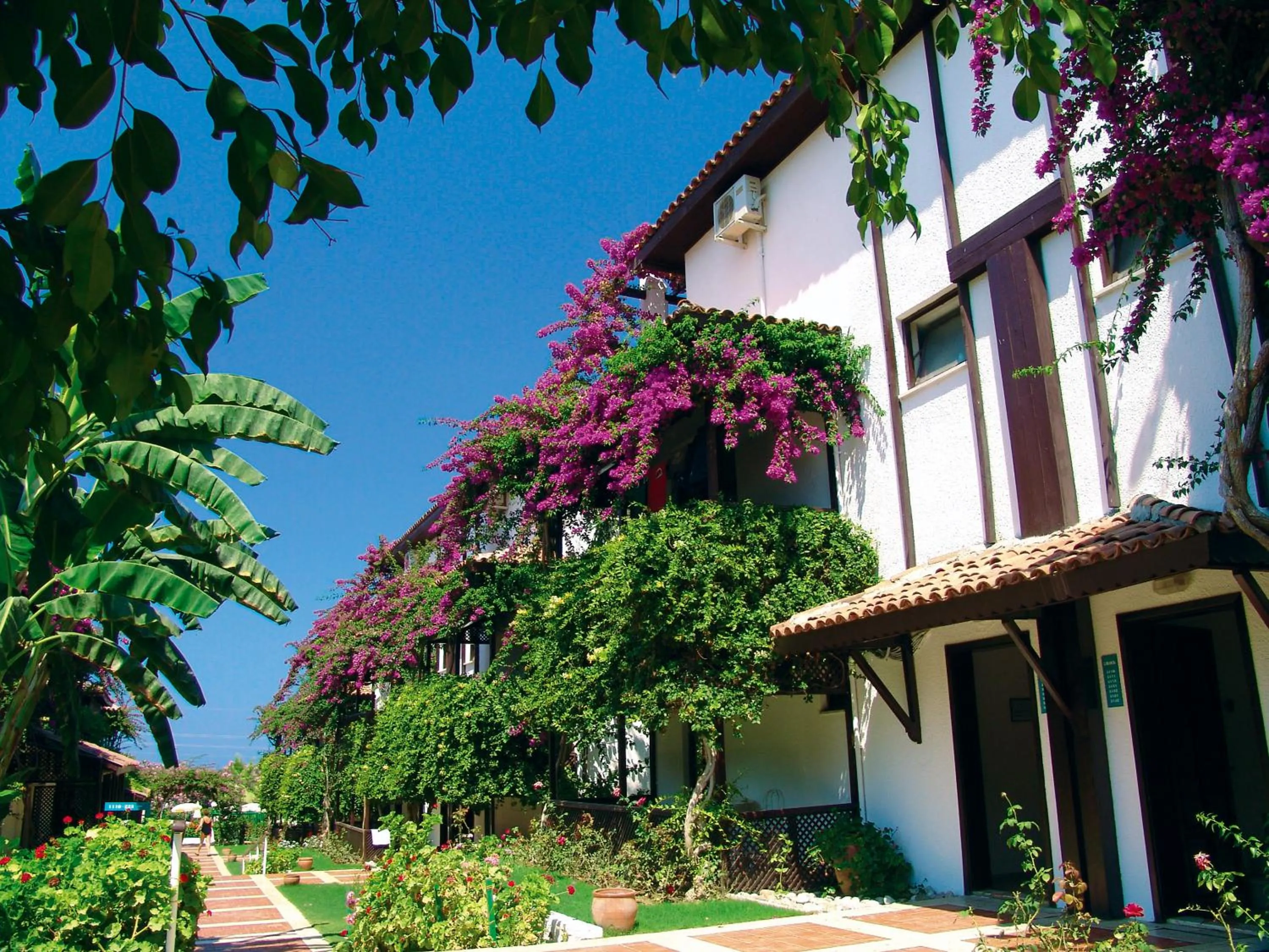 Club Titan Hotel Ultra All Inclusive