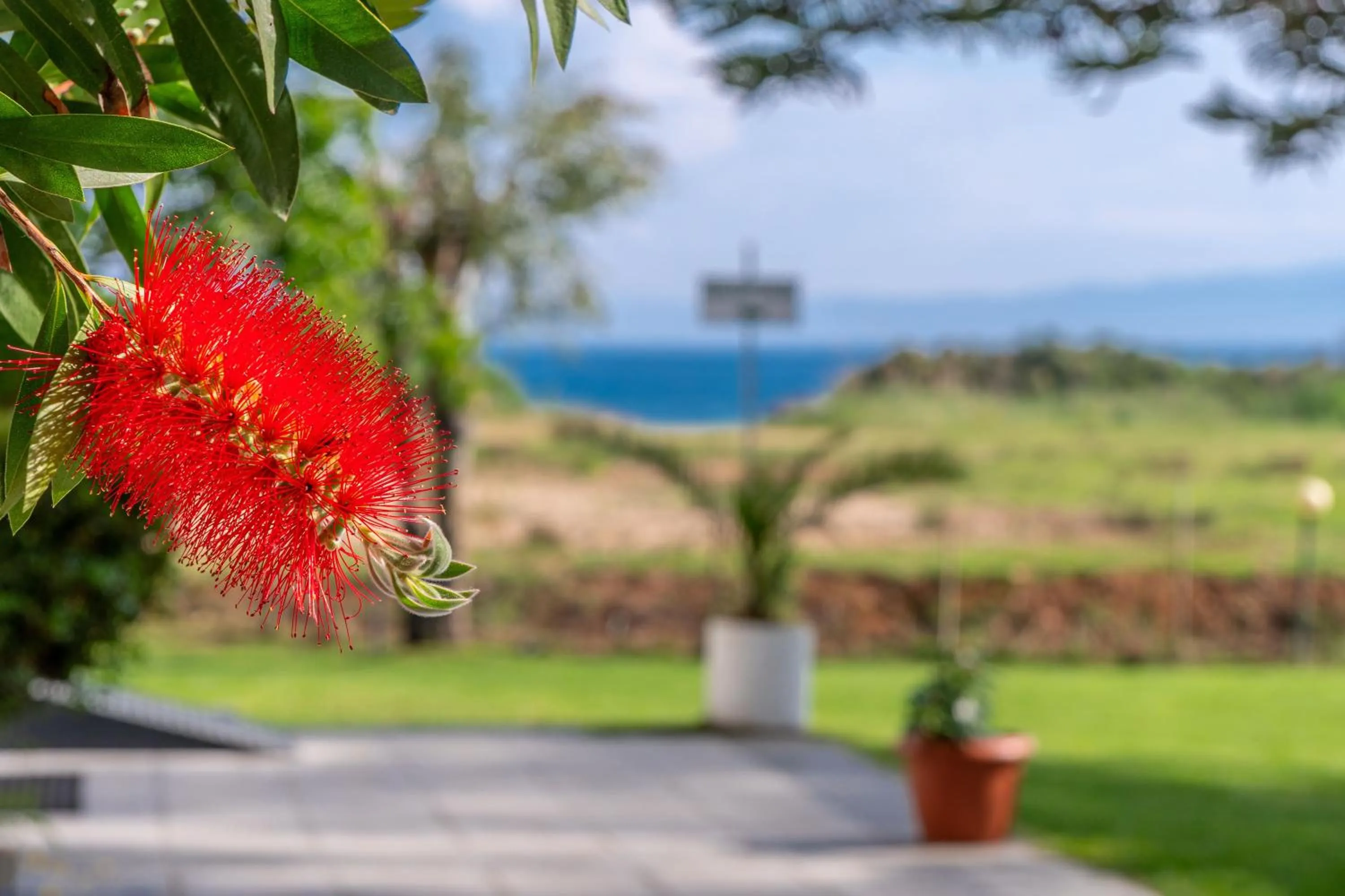 Natural landscape in Arco Beach Hotel