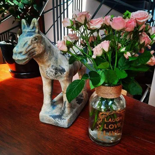 Caballus Lovasmajor Panzió