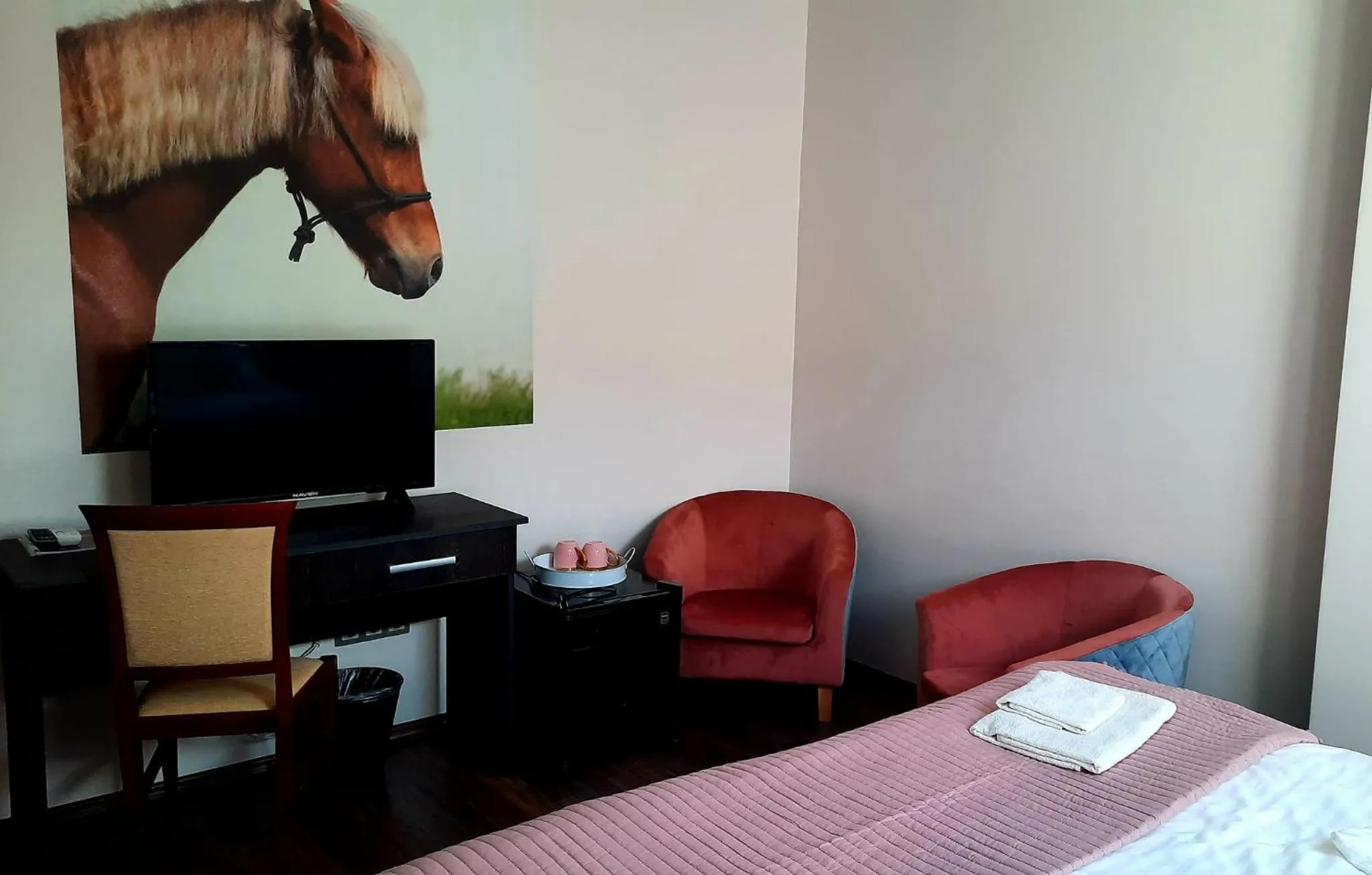 Standard Twin Room - single occupancy in Caballus Lovasmajor Panzió