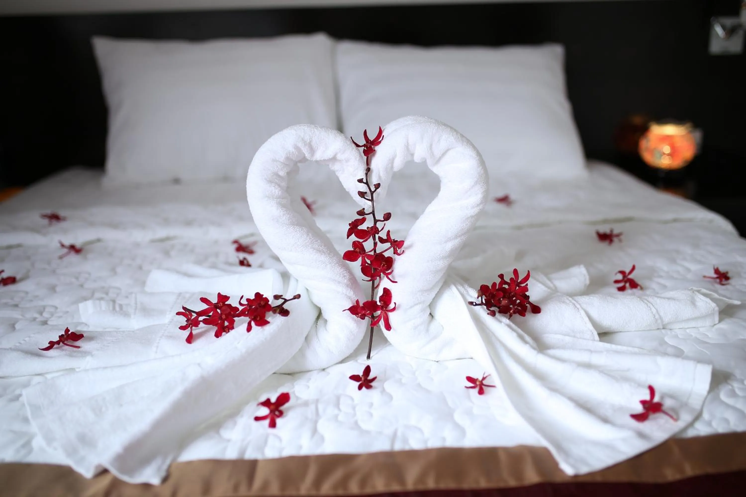 Bedroom, Bed in Thanh Vy Hotel