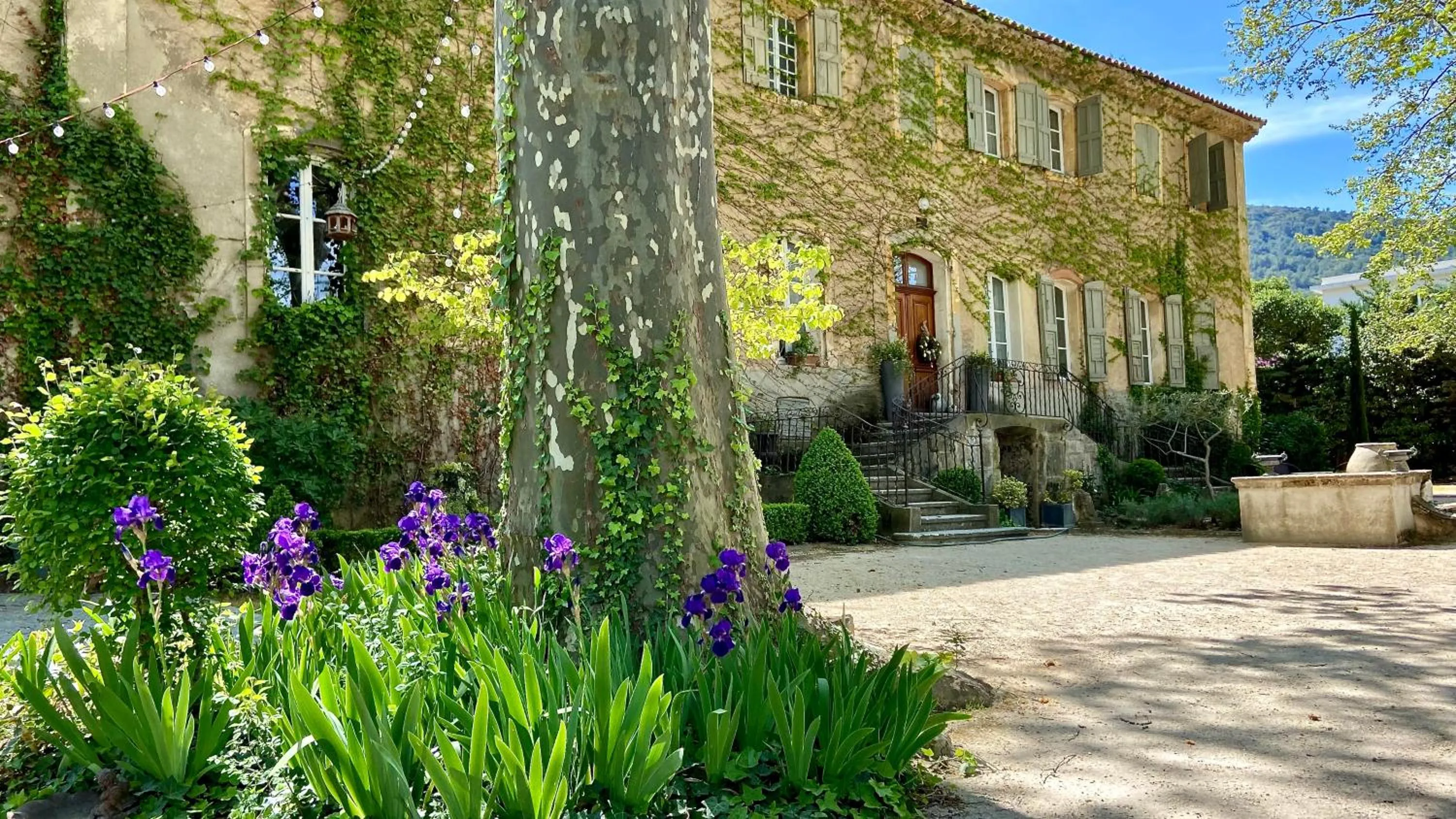 Facade/entrance in B&B Maison d'Hôtes - Château de Jouques