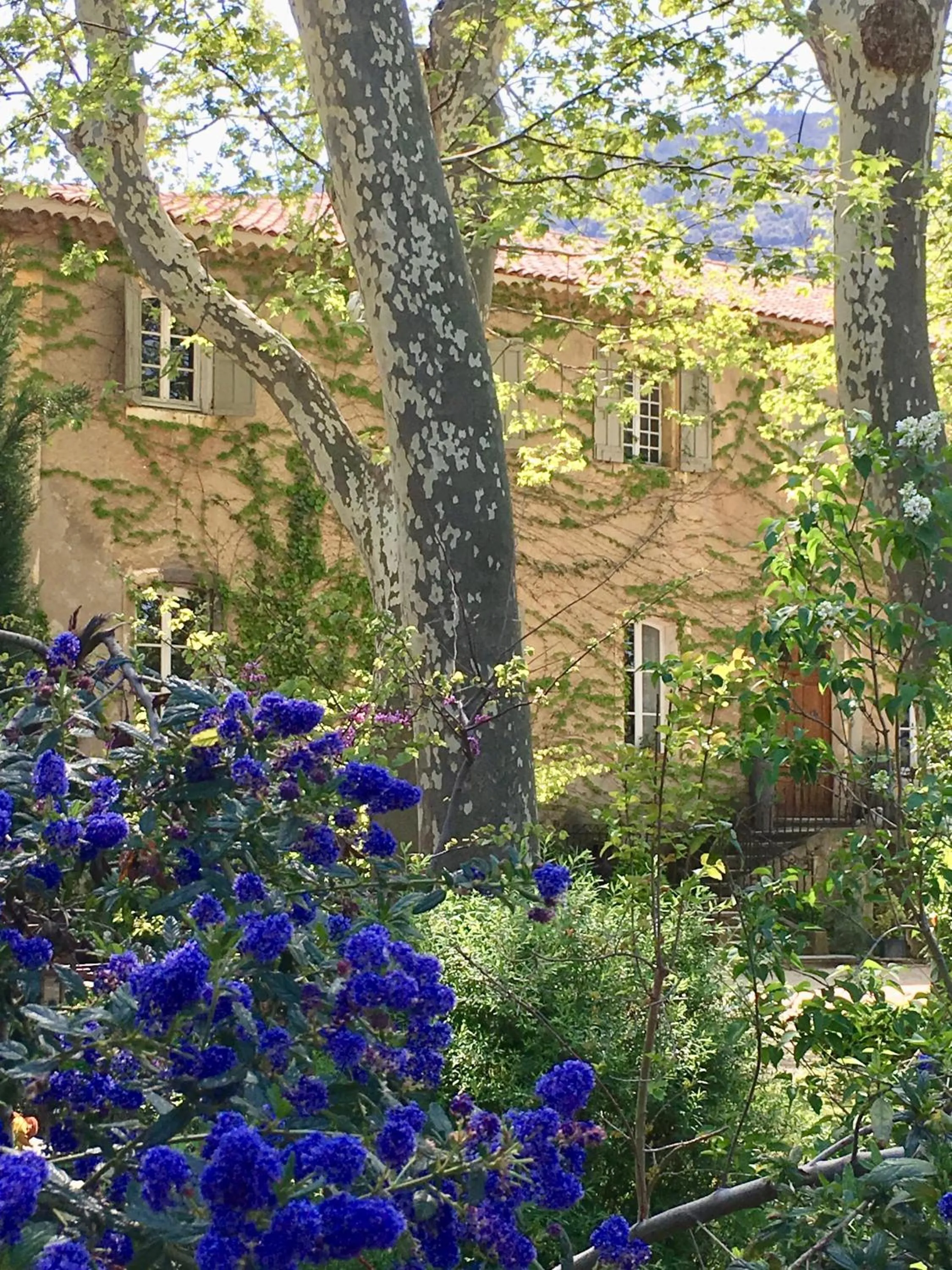 Facade/entrance in B&B Maison d'Hôtes - Château de Jouques