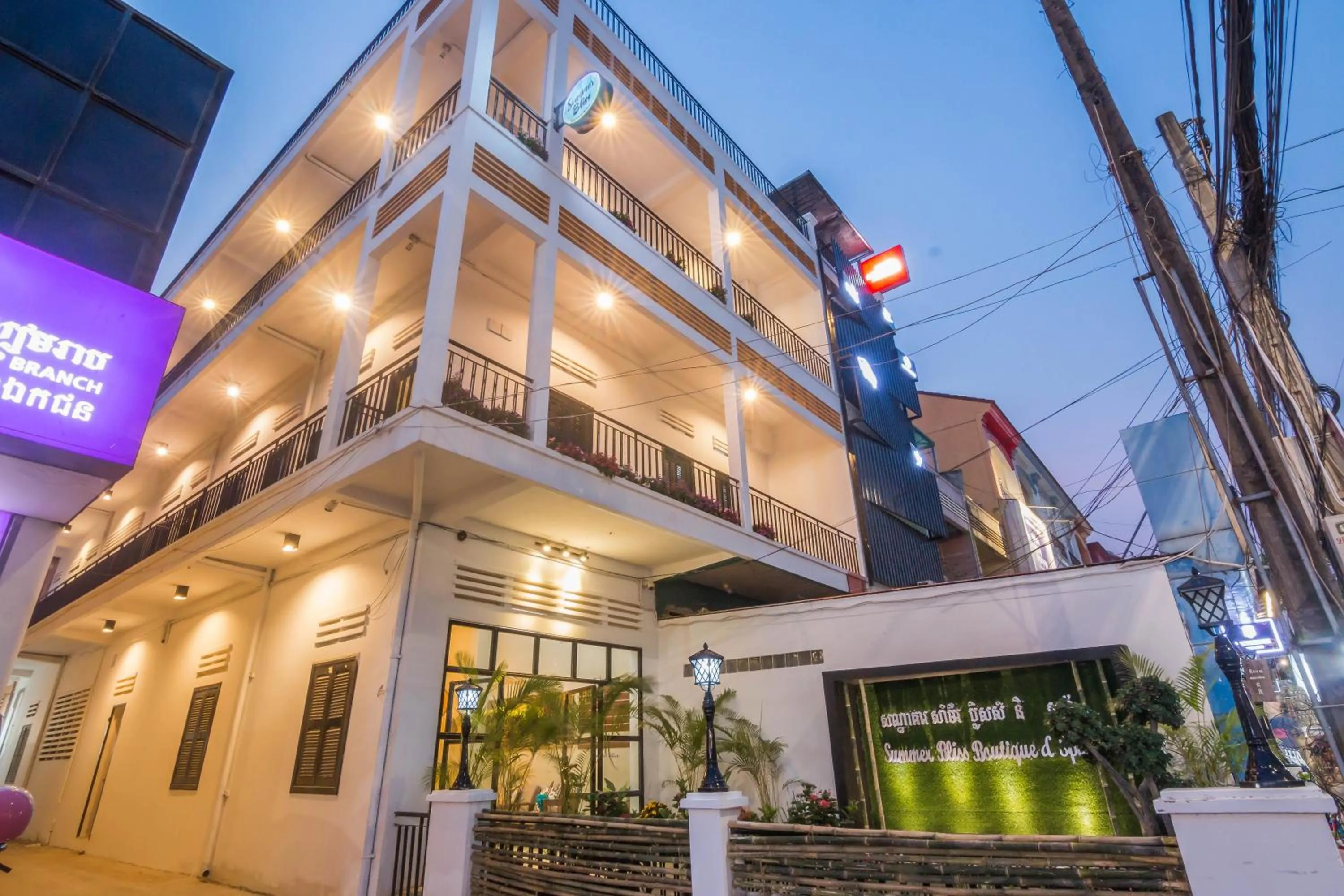 Bird's eye view in Summer Bliss Boutique