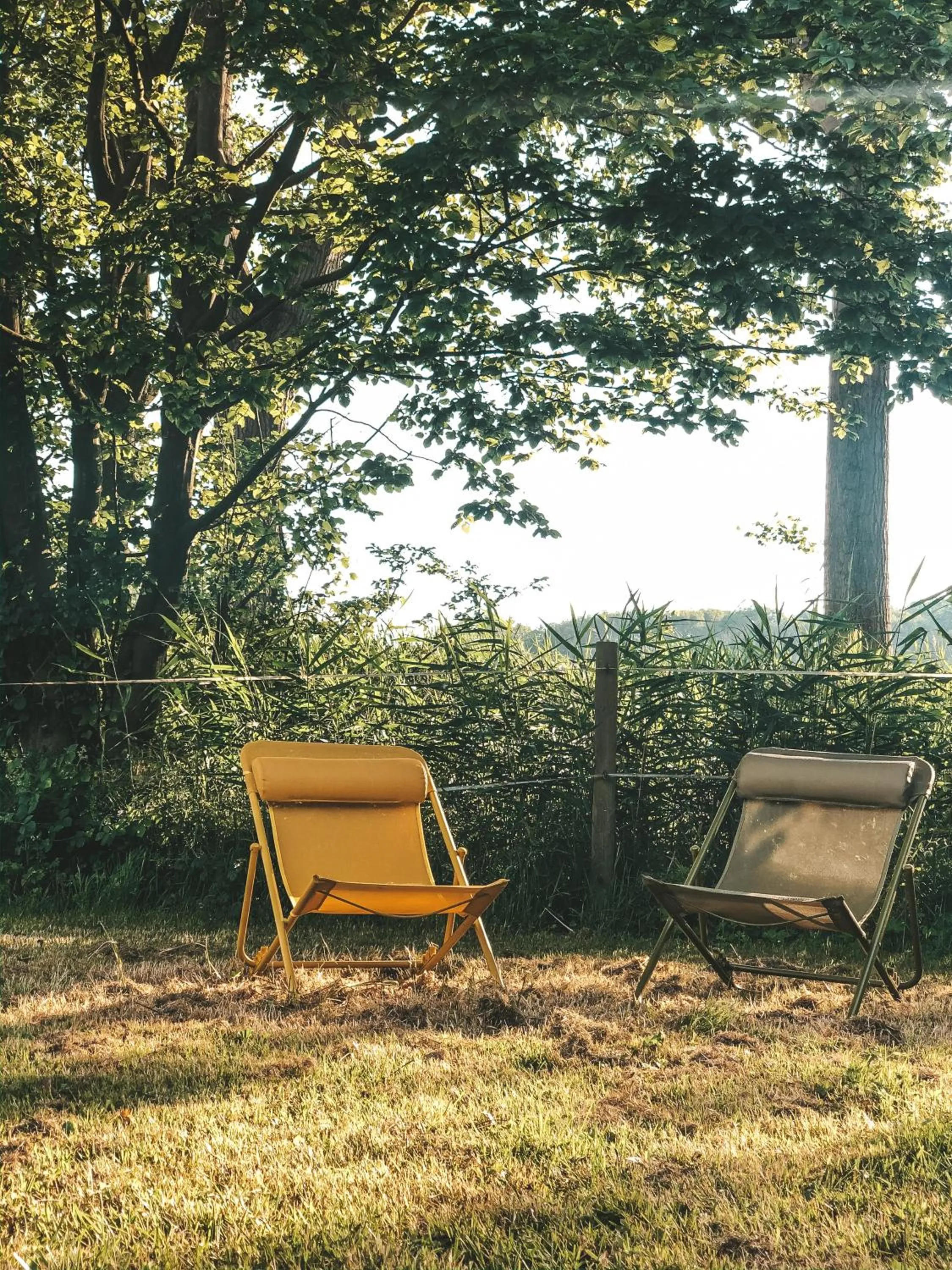 Garden in Hoeve Westdijk