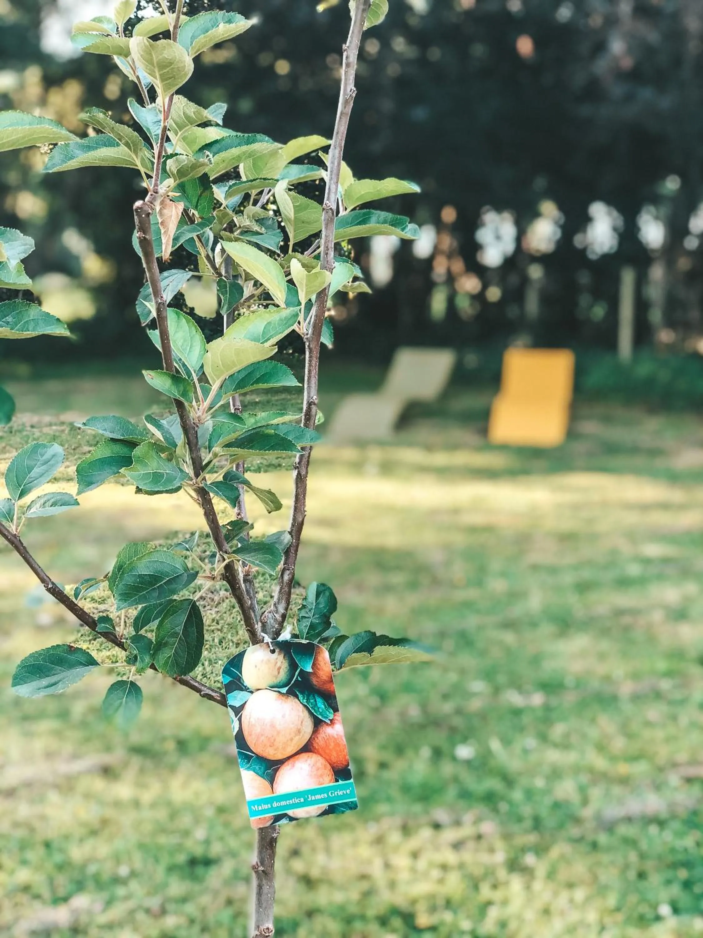 Garden in Hoeve Westdijk