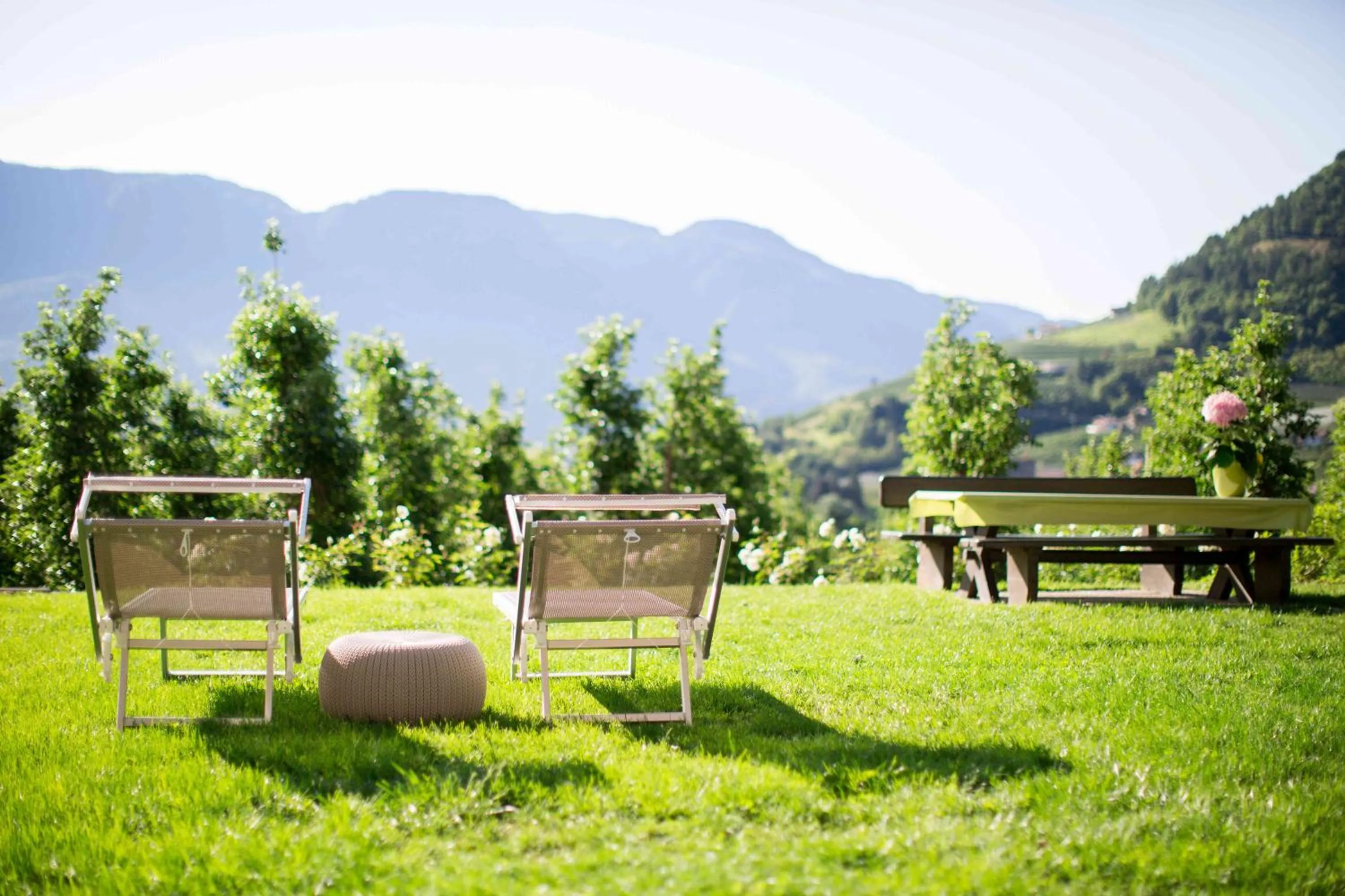 Garden in Pension An Der Linde
