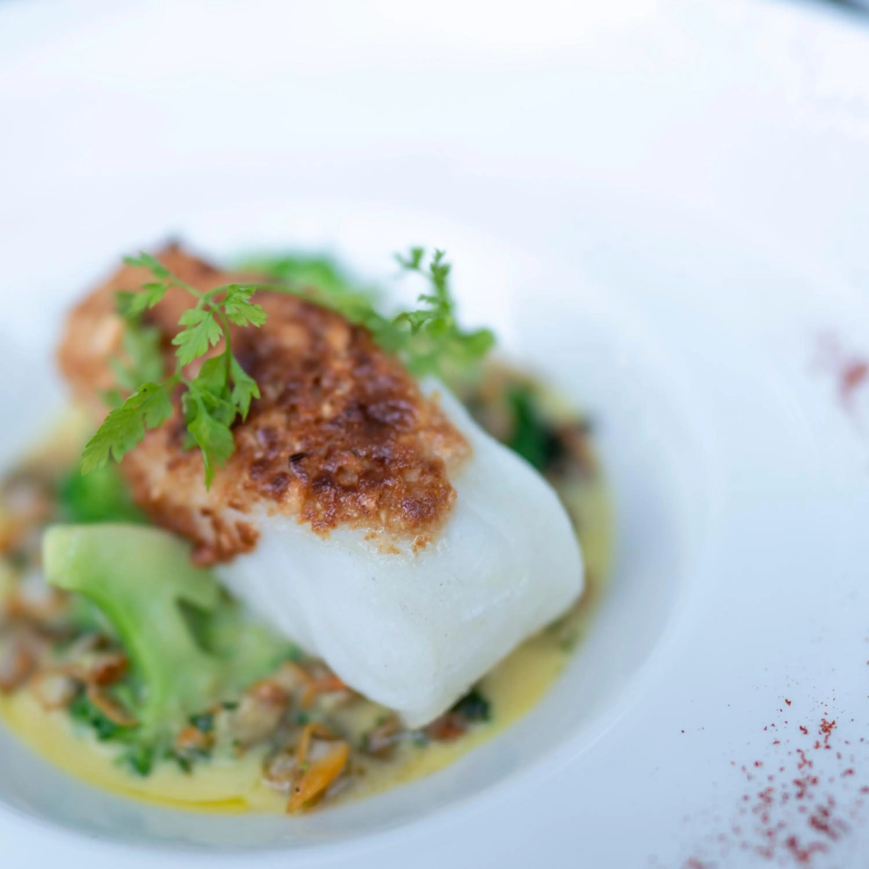 Food and drinks in Logis Hotel Restaurant SPA Les Oliviers