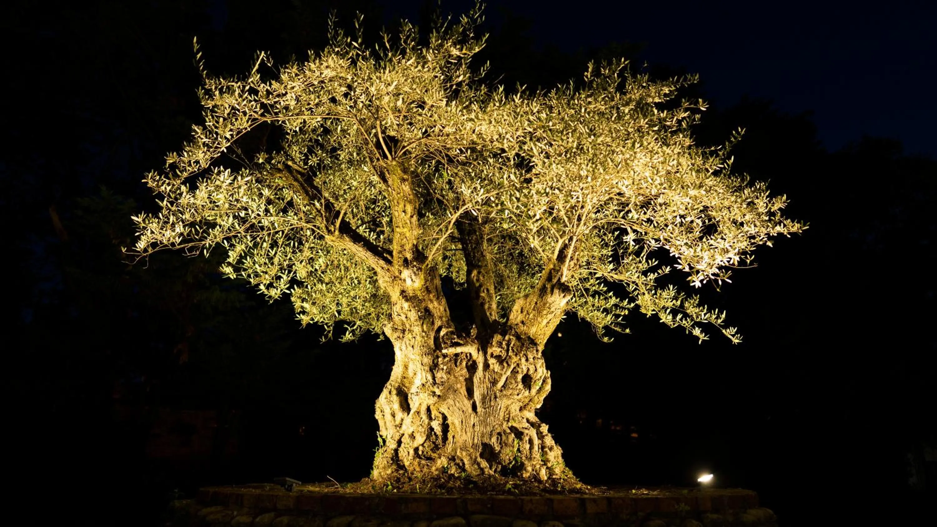 Night in Logis Hotel Restaurant SPA Les Oliviers