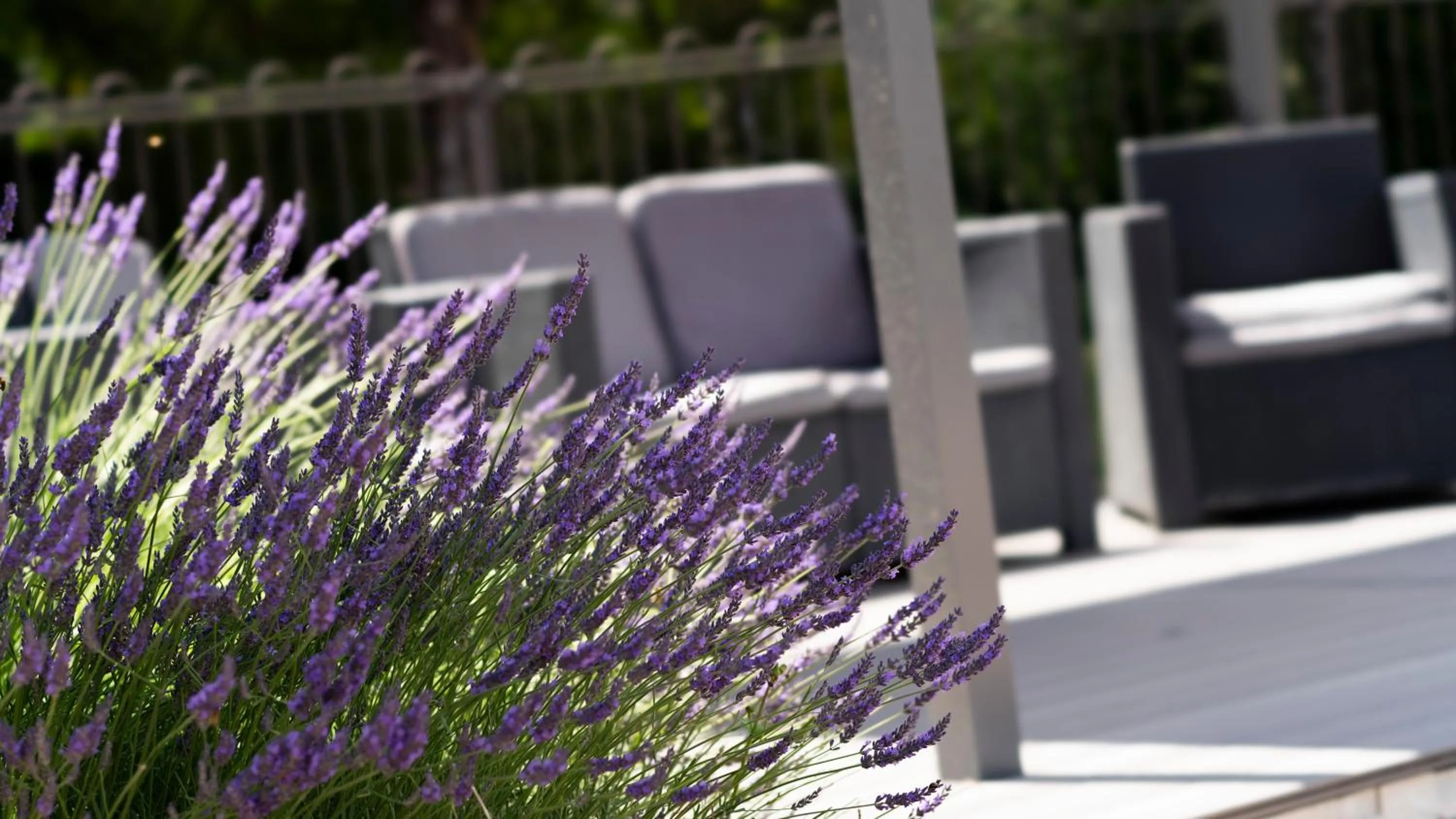 Patio in Logis Hotel Restaurant SPA Les Oliviers