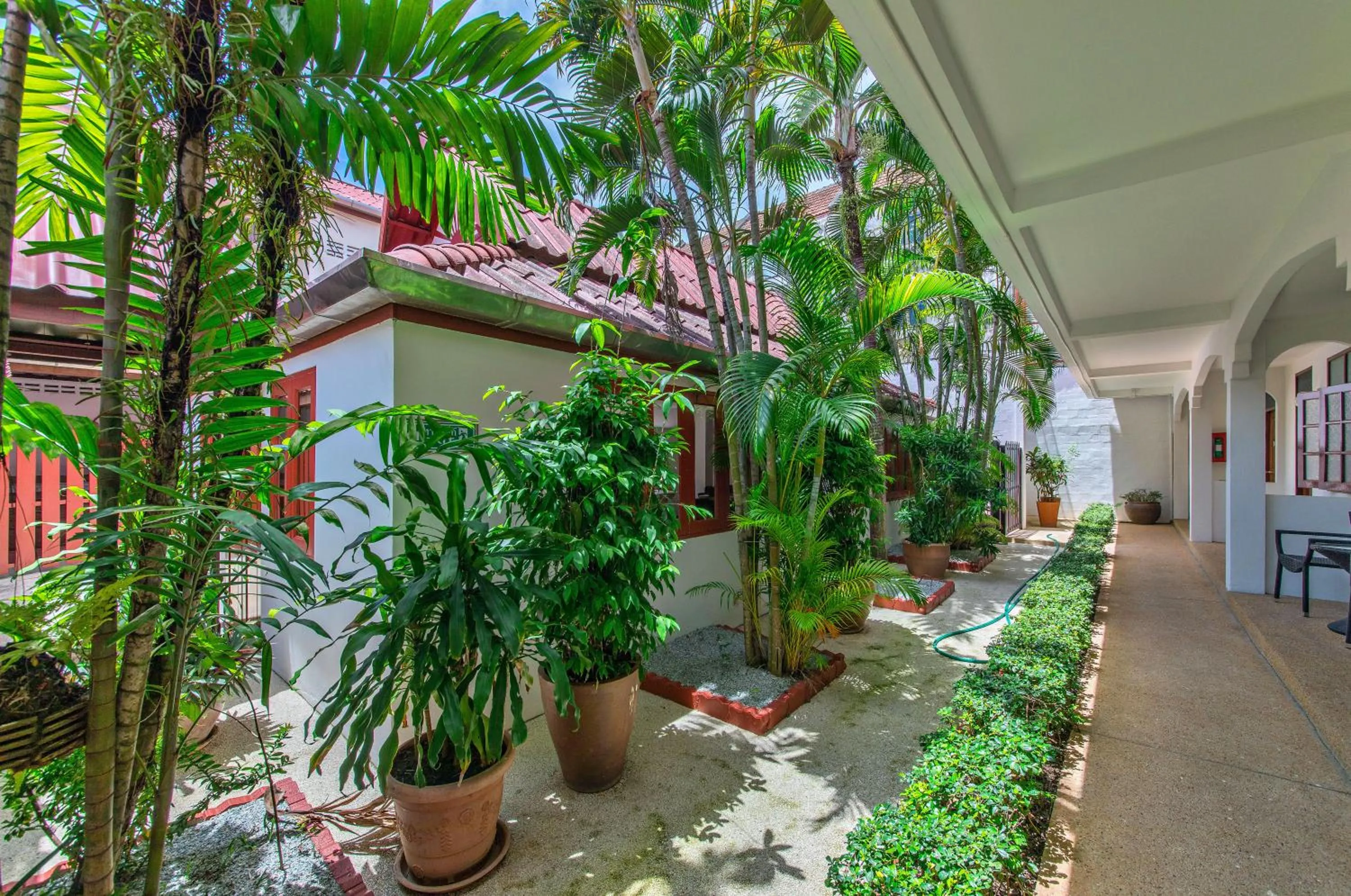 Property building in Panda Hotel