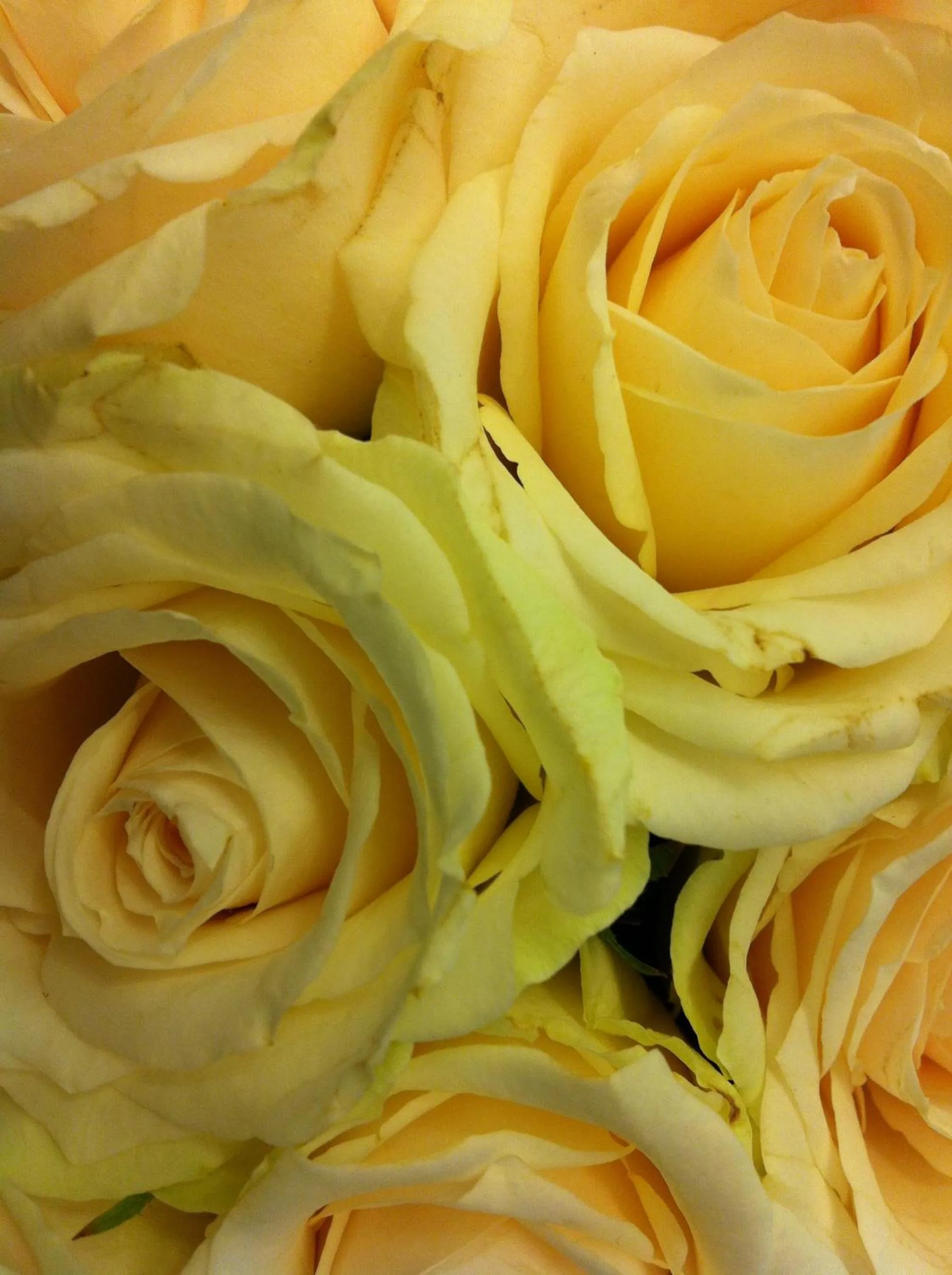 Other in Jerà am Furtnerteich Hotel-Ristorante&Relax