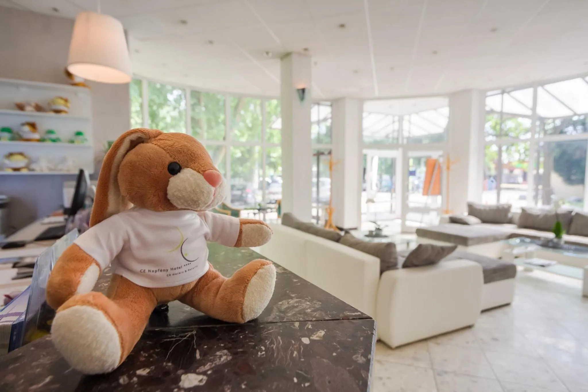 Lobby or reception in CE Napfény Hotel