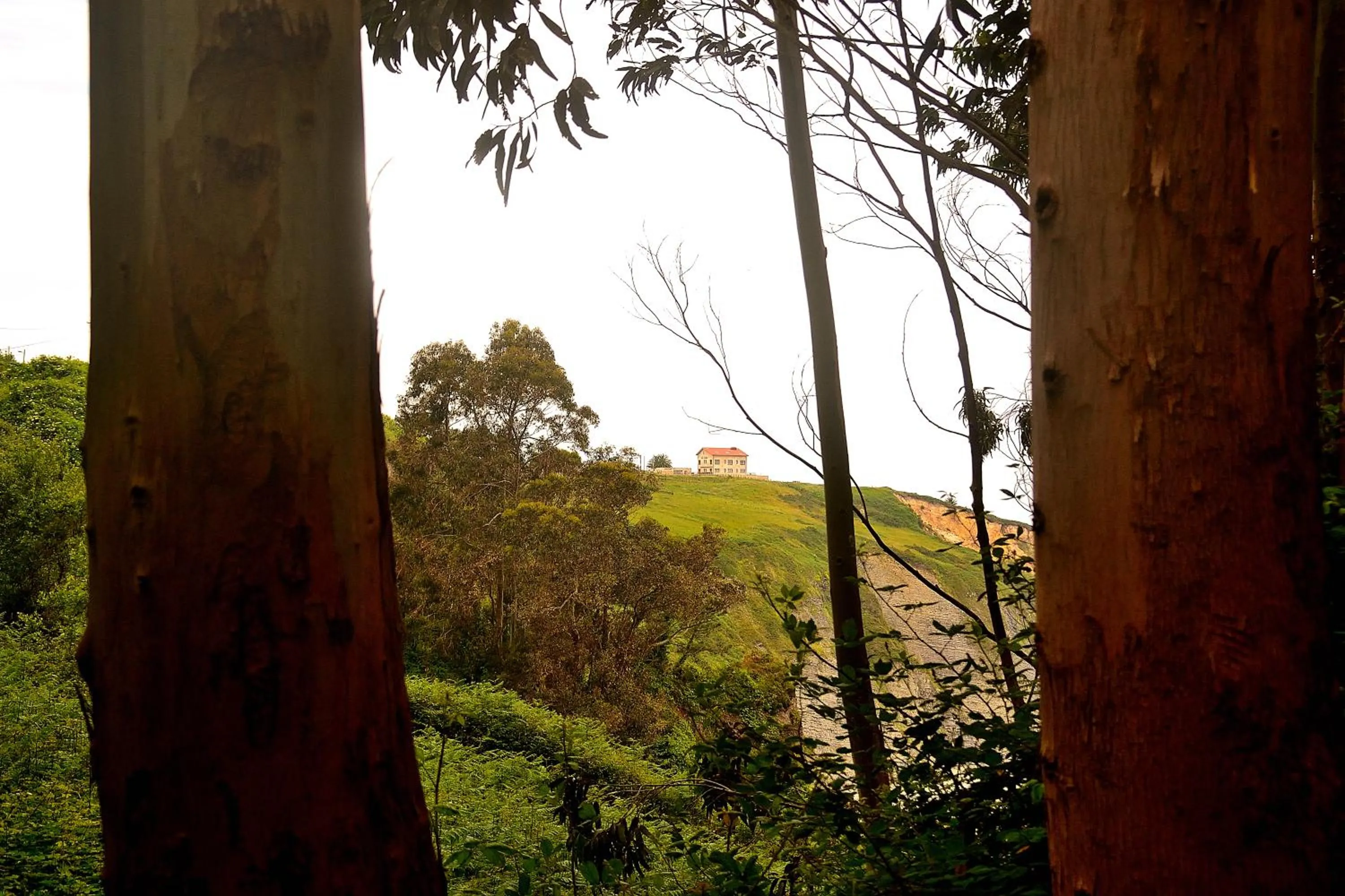 Natural landscape in La Colina