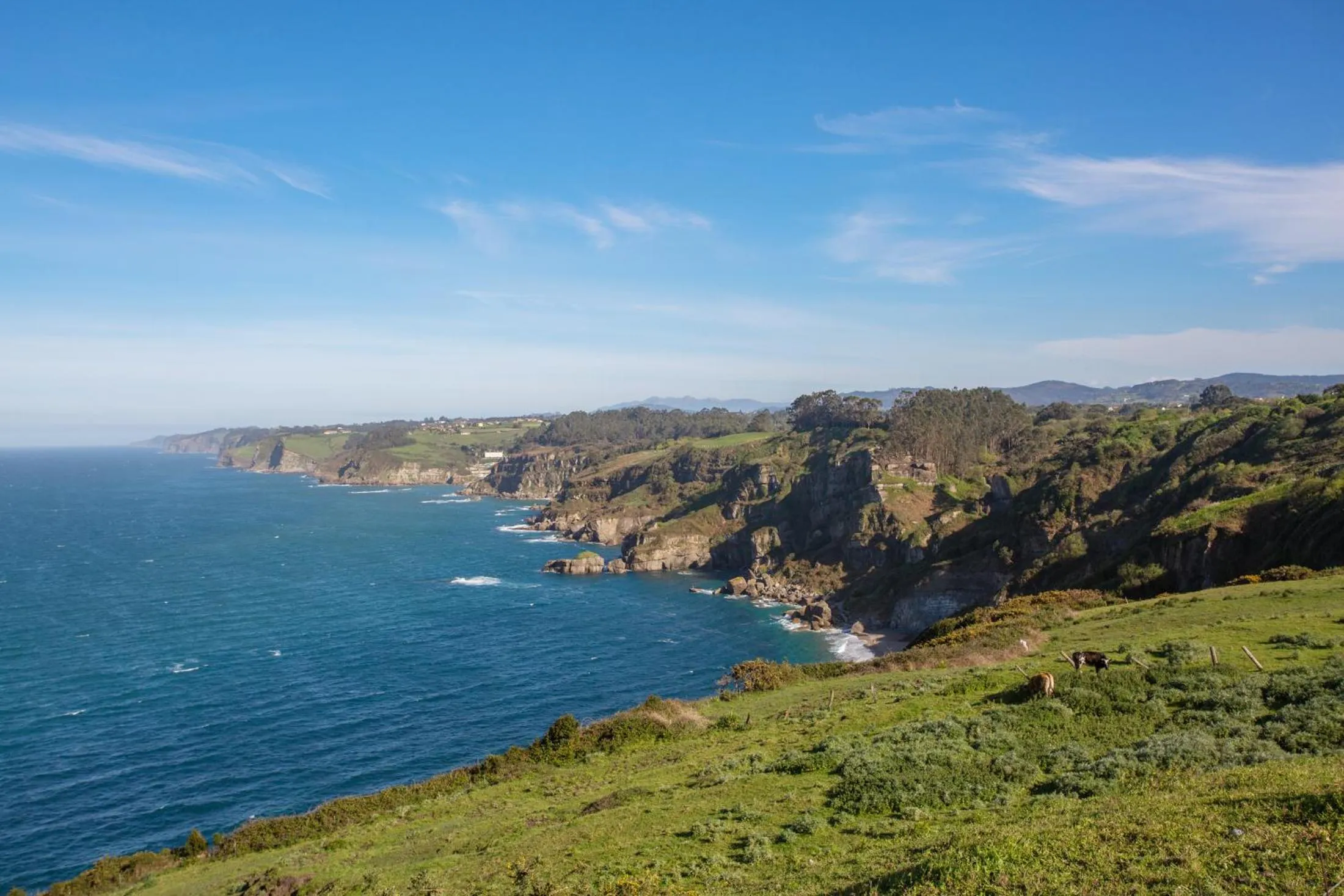 Natural landscape in La Colina