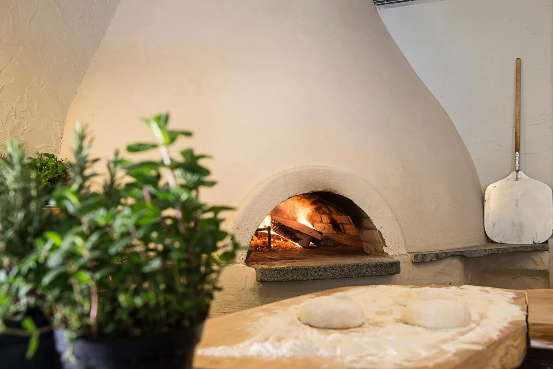 Food close-up in Leśny Dwór Karpacz Piekarnia Mio Padre Restauracja Mamma Mia