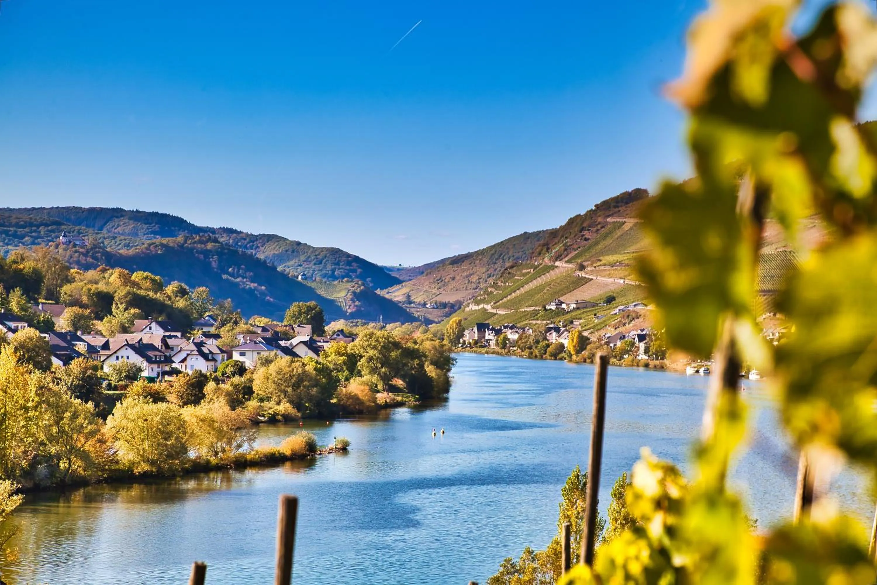 Natural landscape in Mayer's Weinhotel
