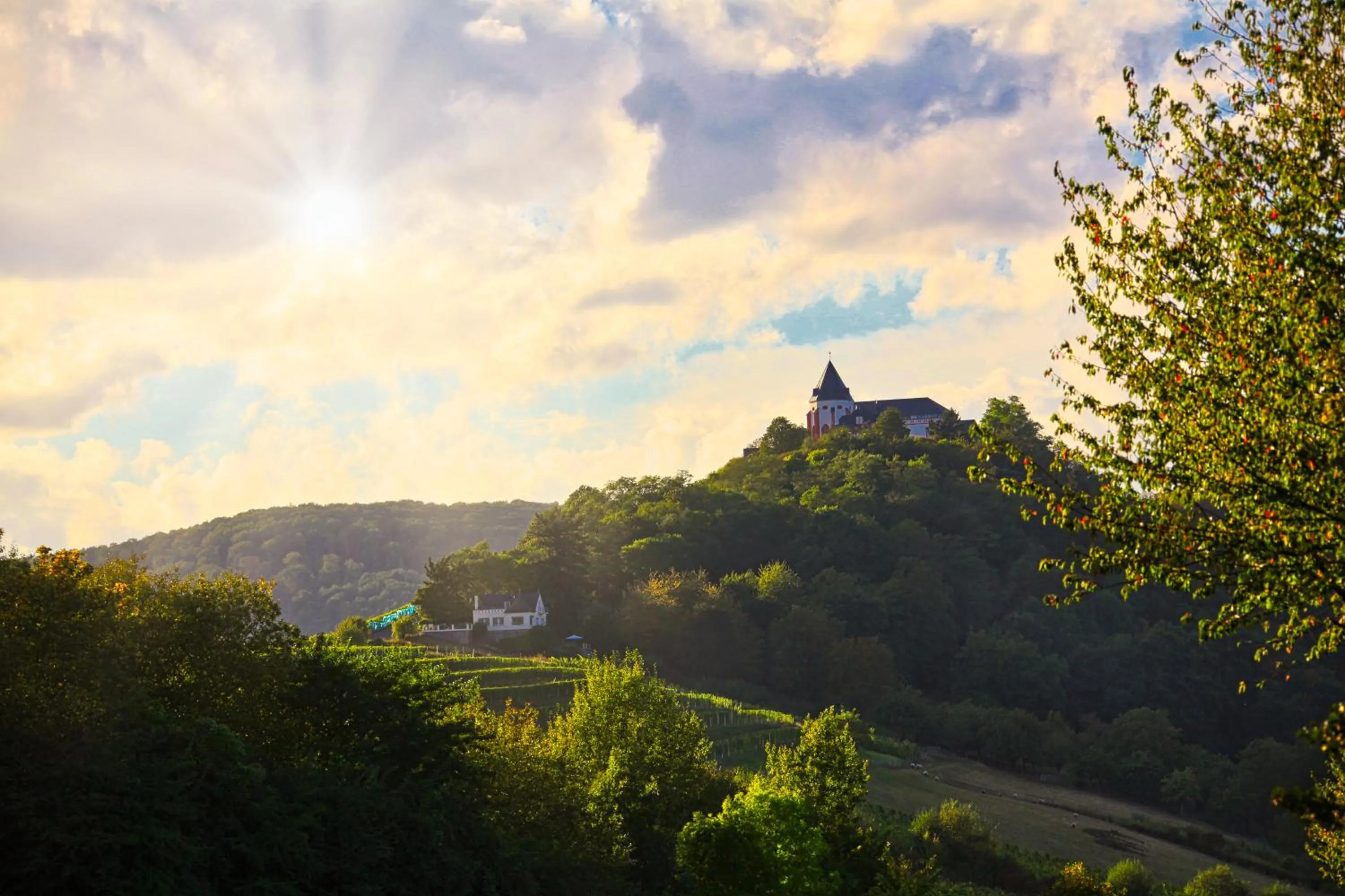 Natural landscape in Mayer's Weinhotel
