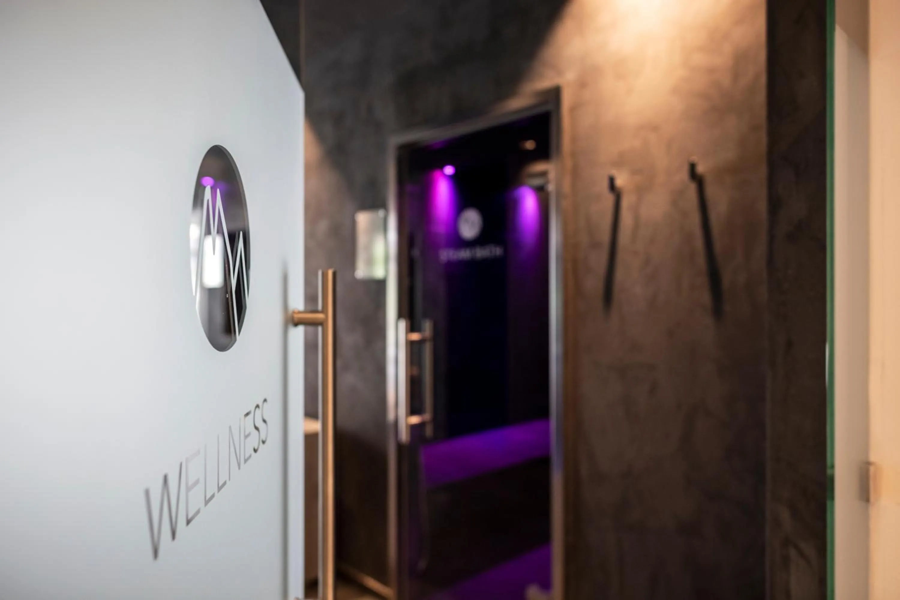 Steam room in Alpinhotel Vajolet - Adults only