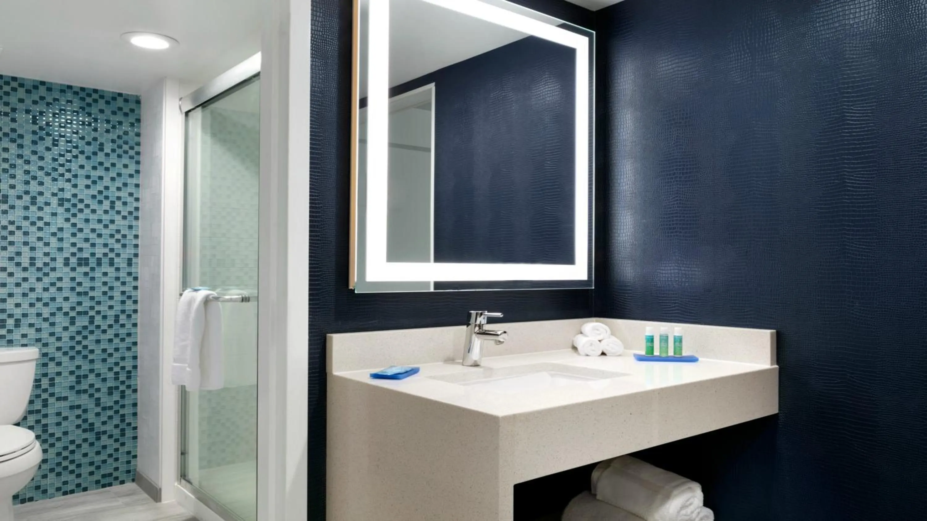 Bathroom in Holiday Inn Express - Williamsburg Busch Gardens Area by IHG