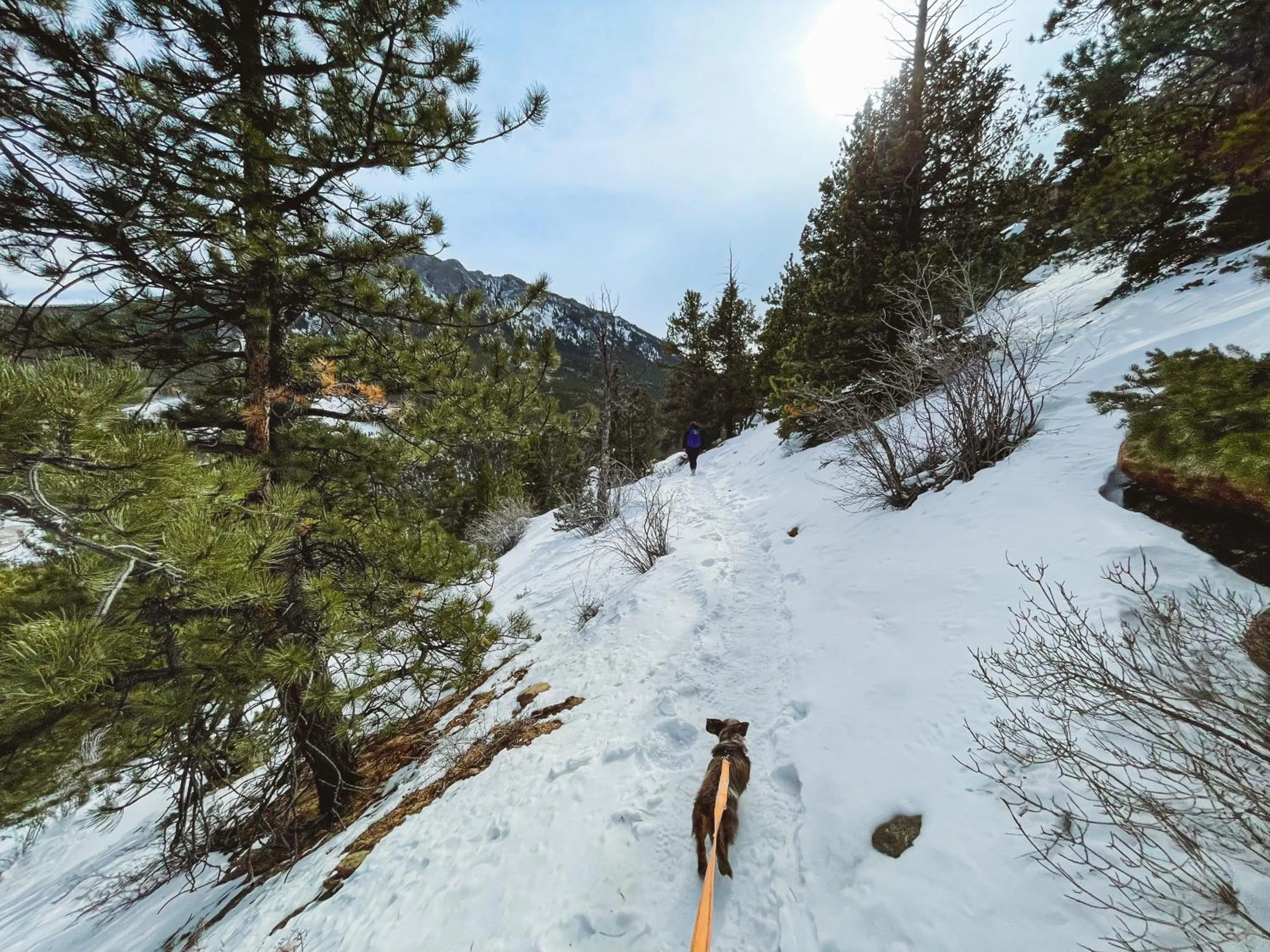 Natural landscape in Holiday Inn Estes Park by IHG