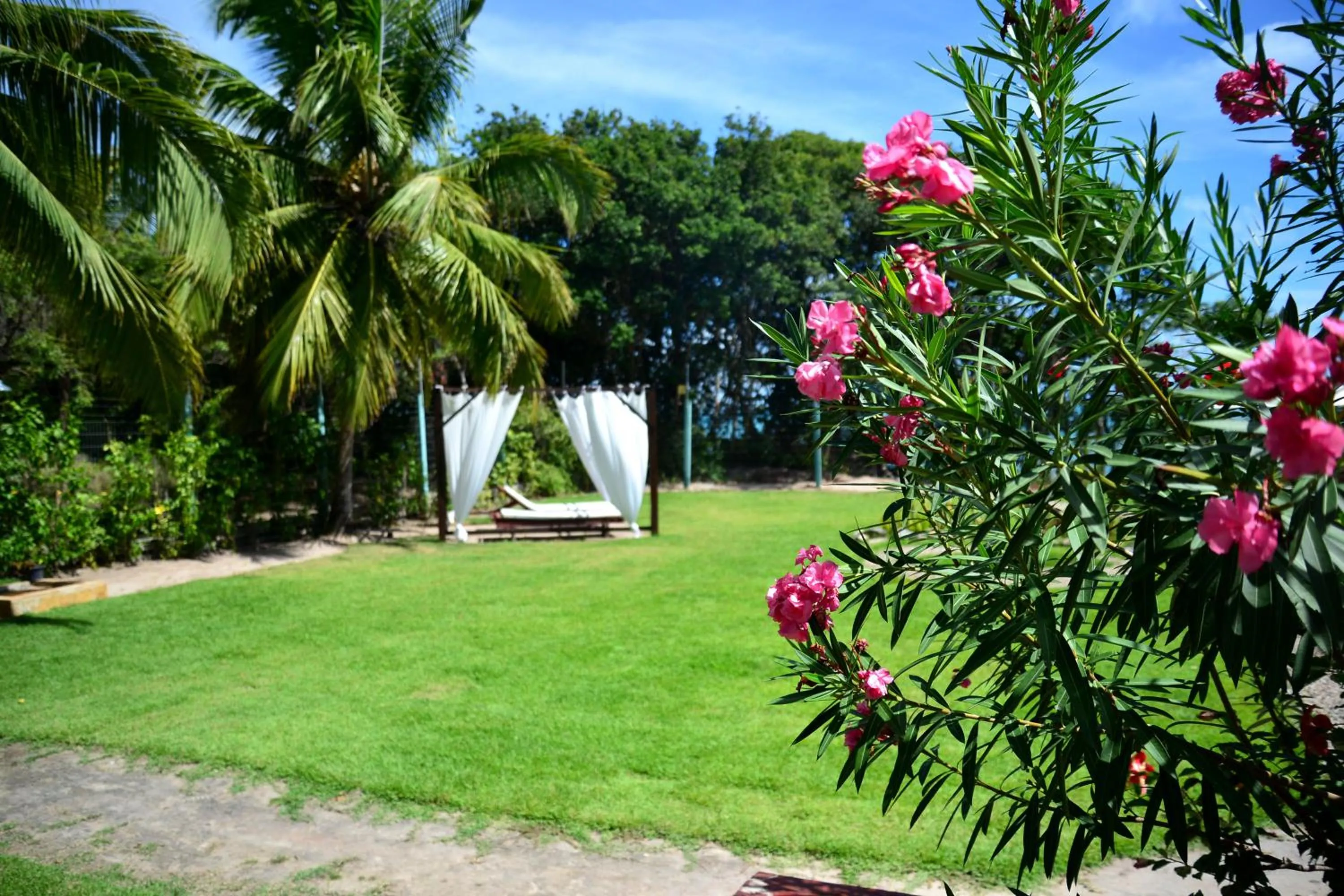 Garden in Pousada Enseada Dos Golfinhos
