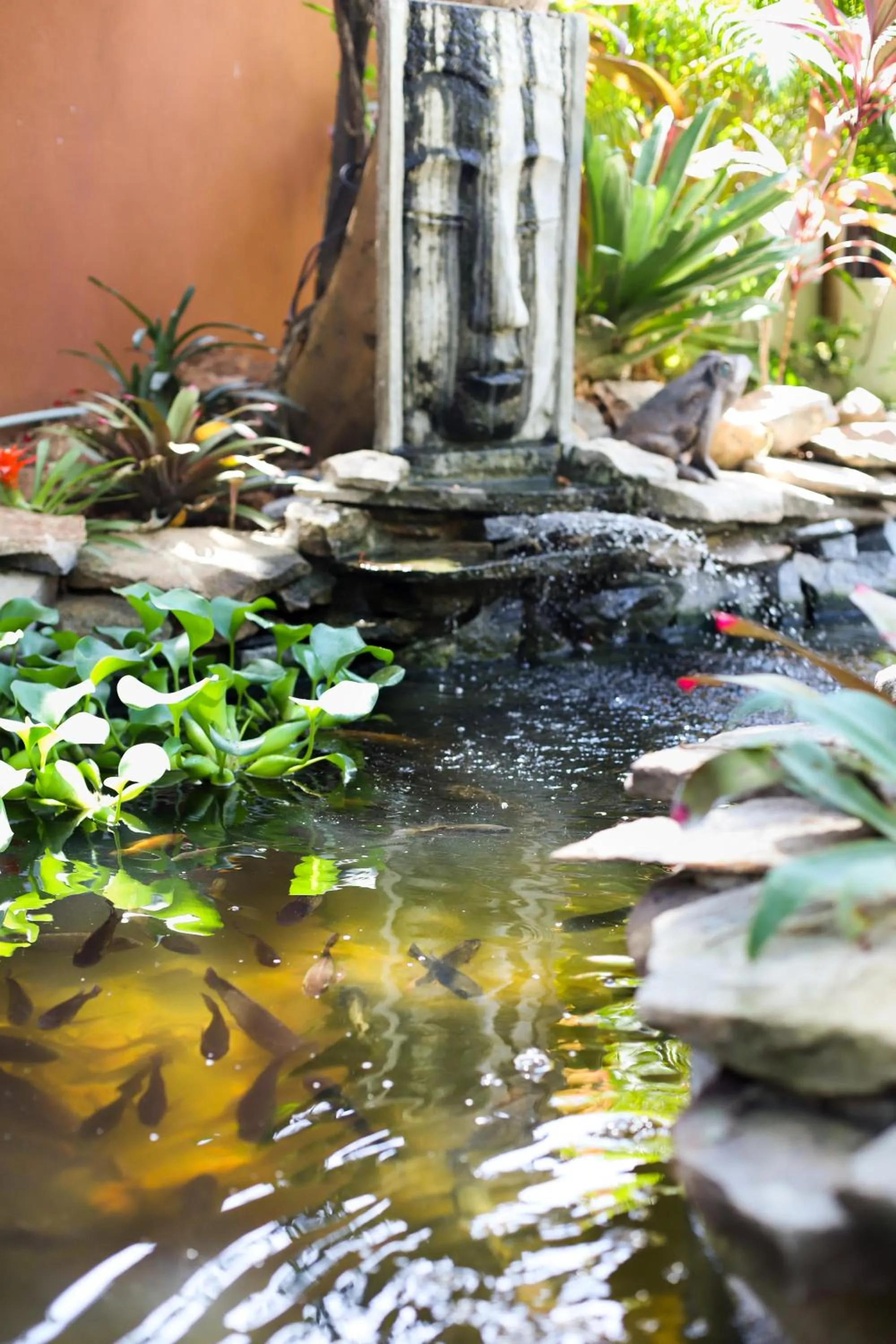 Garden in Pousada Enseada Dos Golfinhos