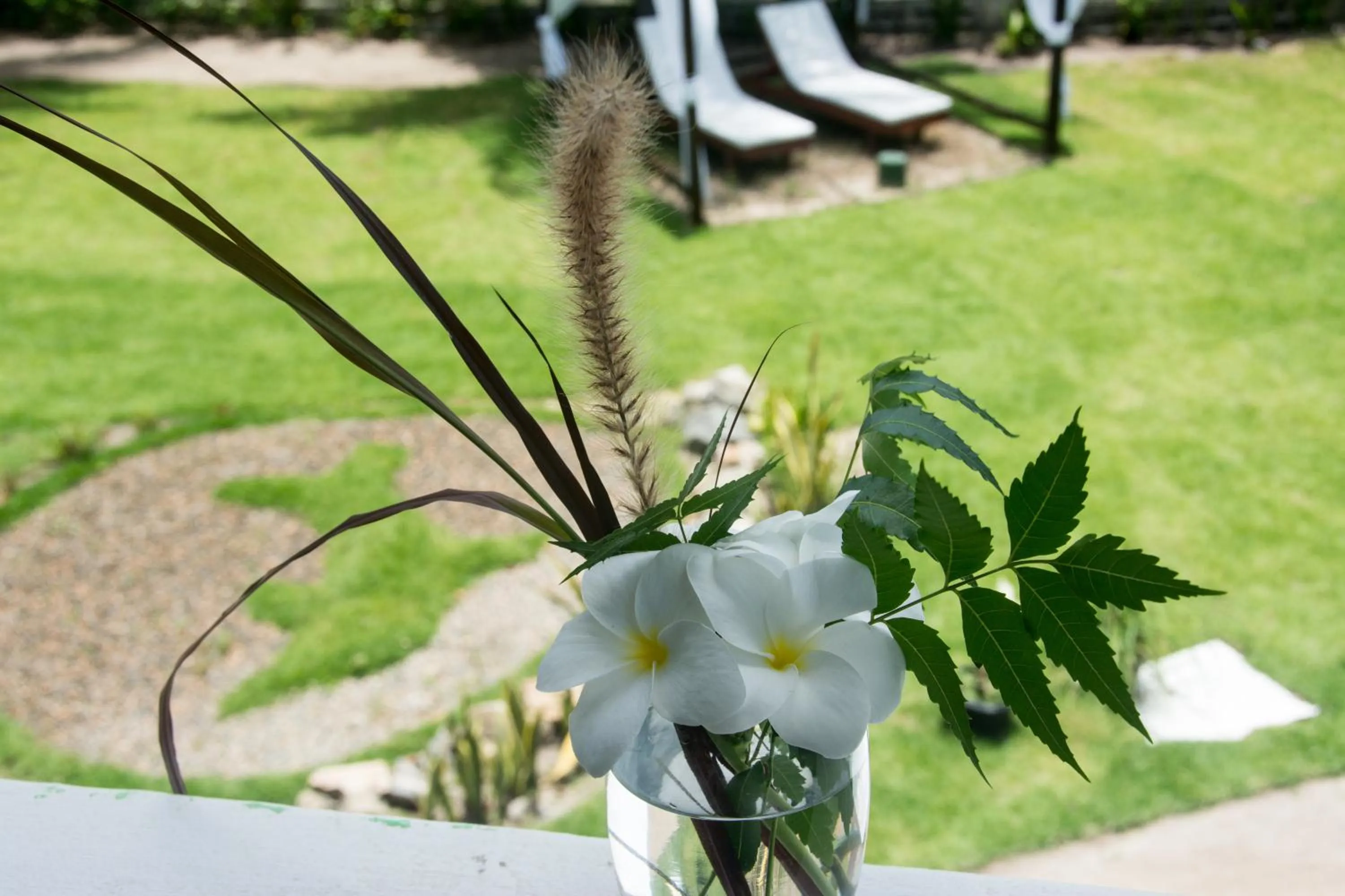 Balcony/Terrace in Pousada Enseada Dos Golfinhos