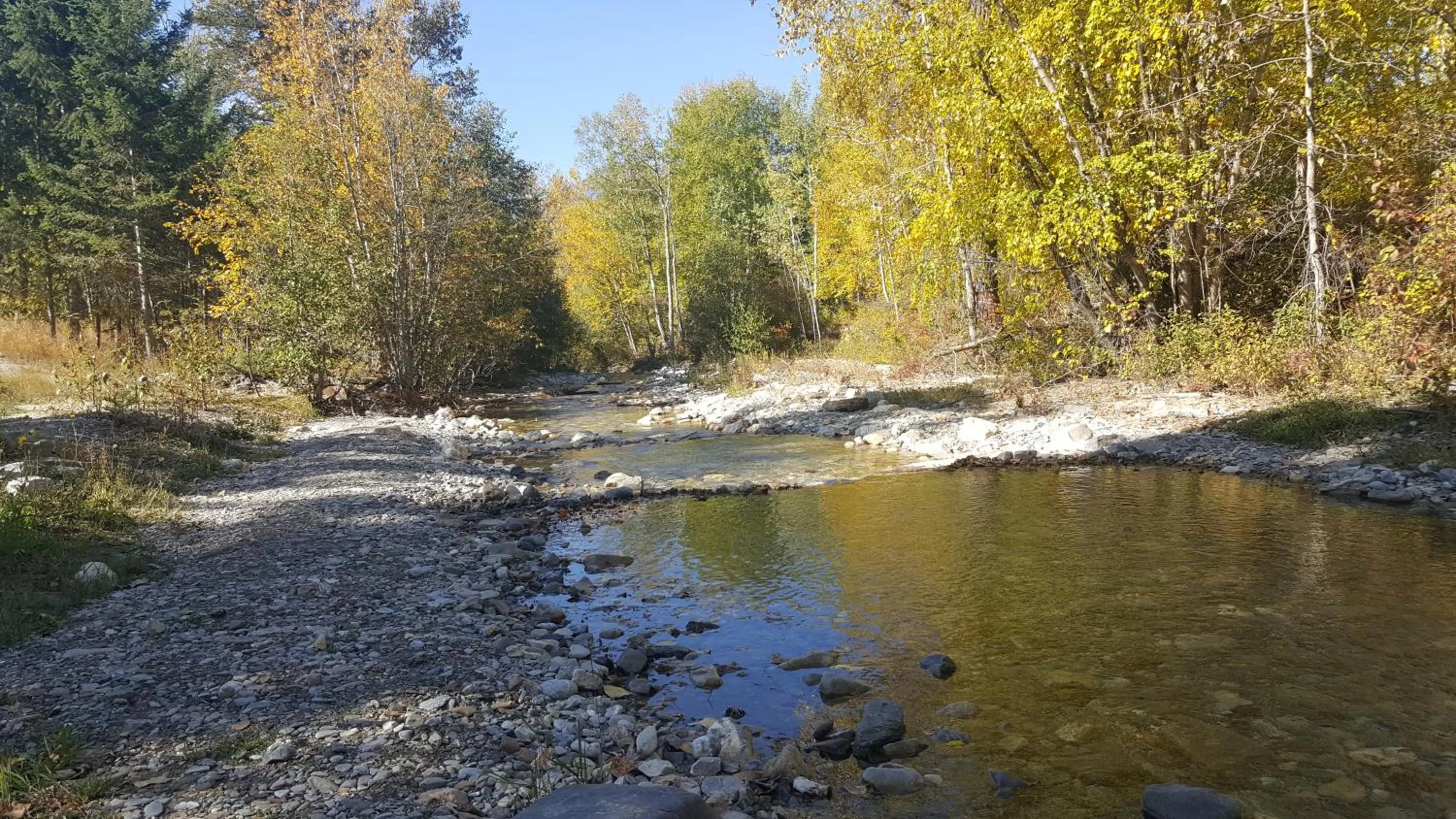 Natural landscape in Travelodge by Wyndham Golden Sportsman Lodge