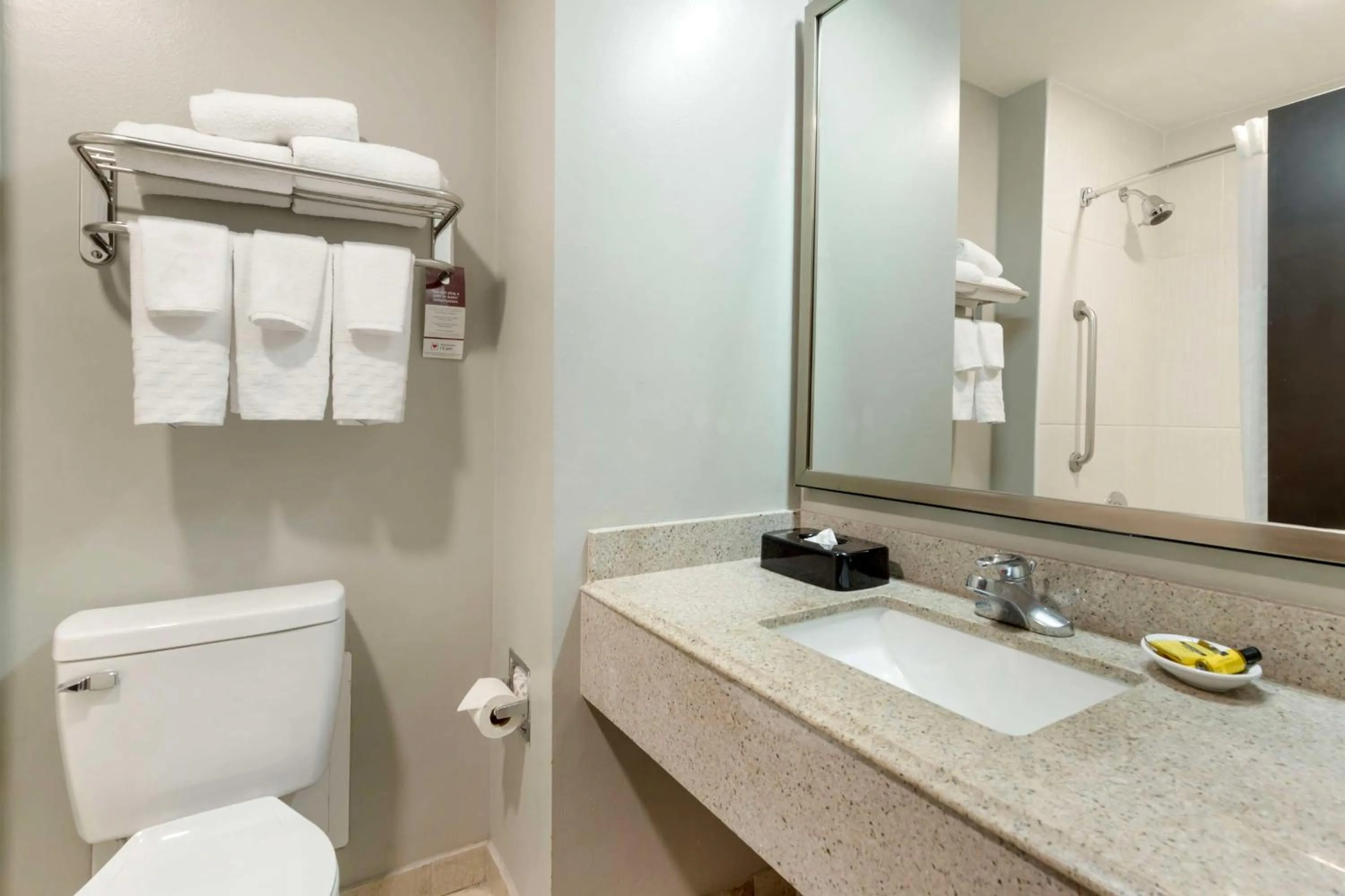 Bathroom in Best Western Plus Edinburg Inn & Suites
