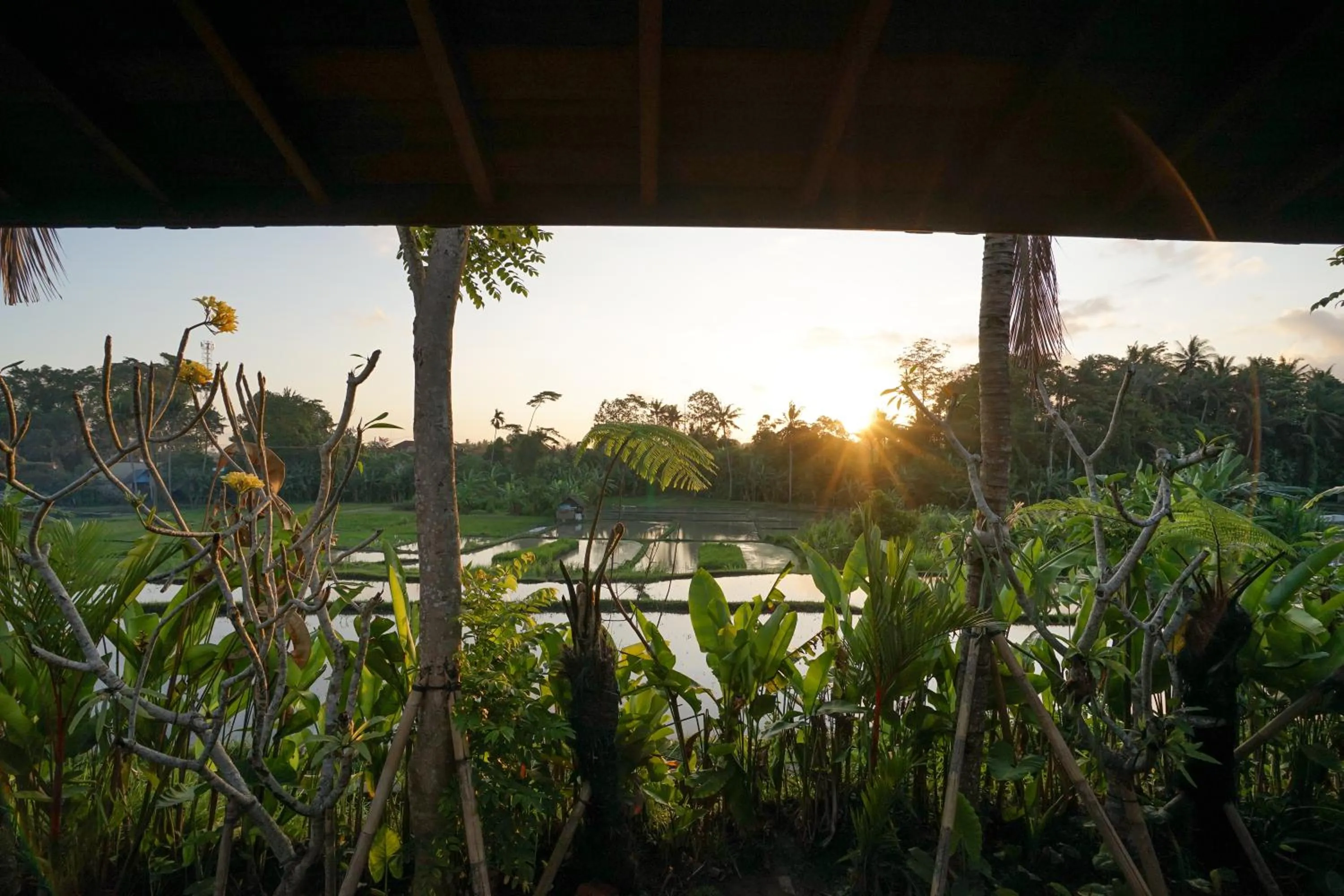 Garden in Ubud Art Resort