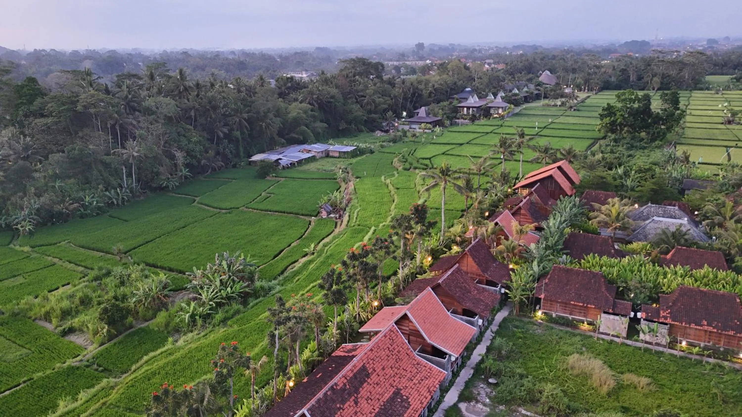 Natural landscape in Ubud Art Resort