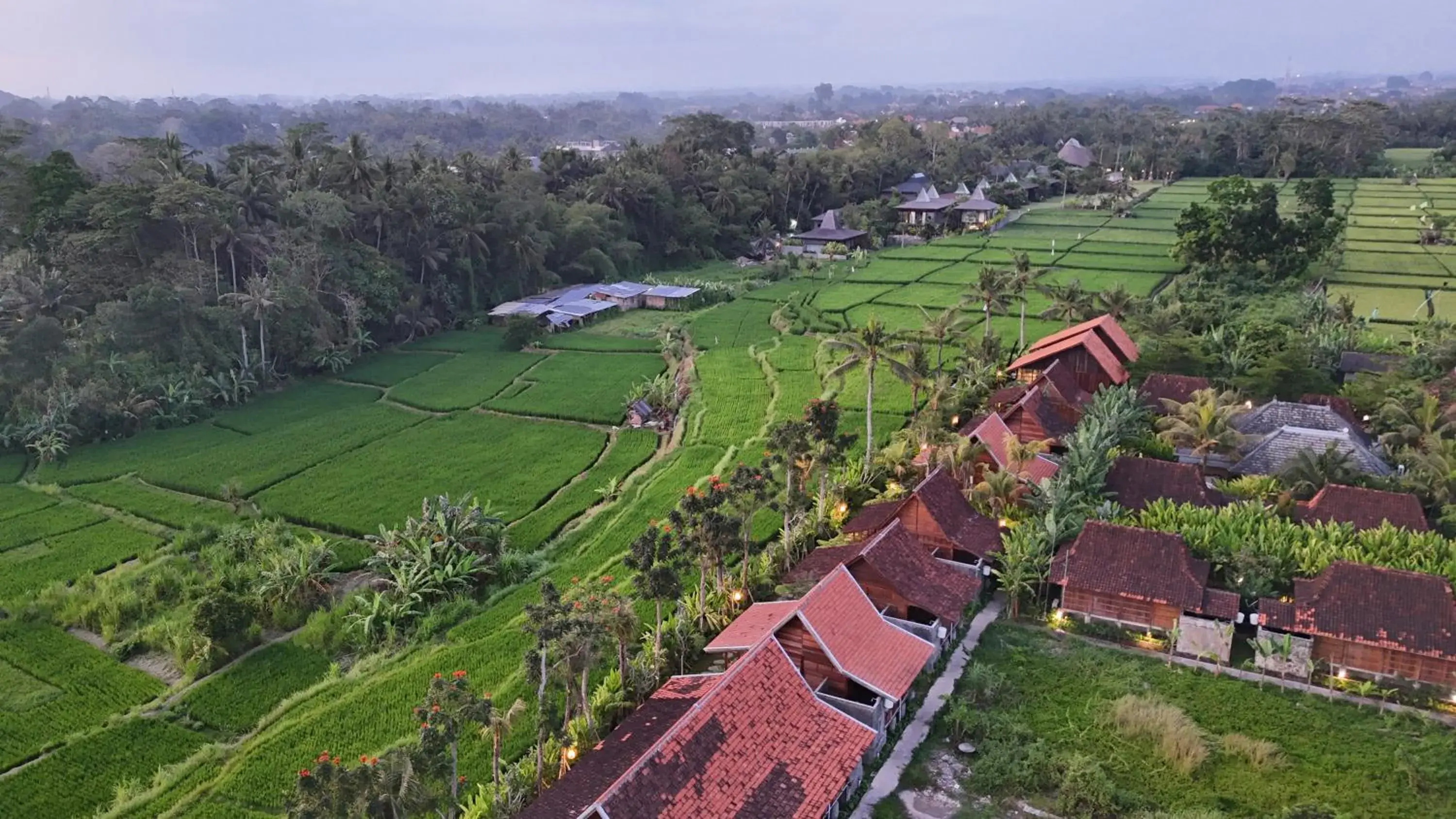 Wooden Deluxe Family With Rice Field View in Ubud Art Resort Wooden Deluxe Family With Rice Field View in Ubud Art Resort
